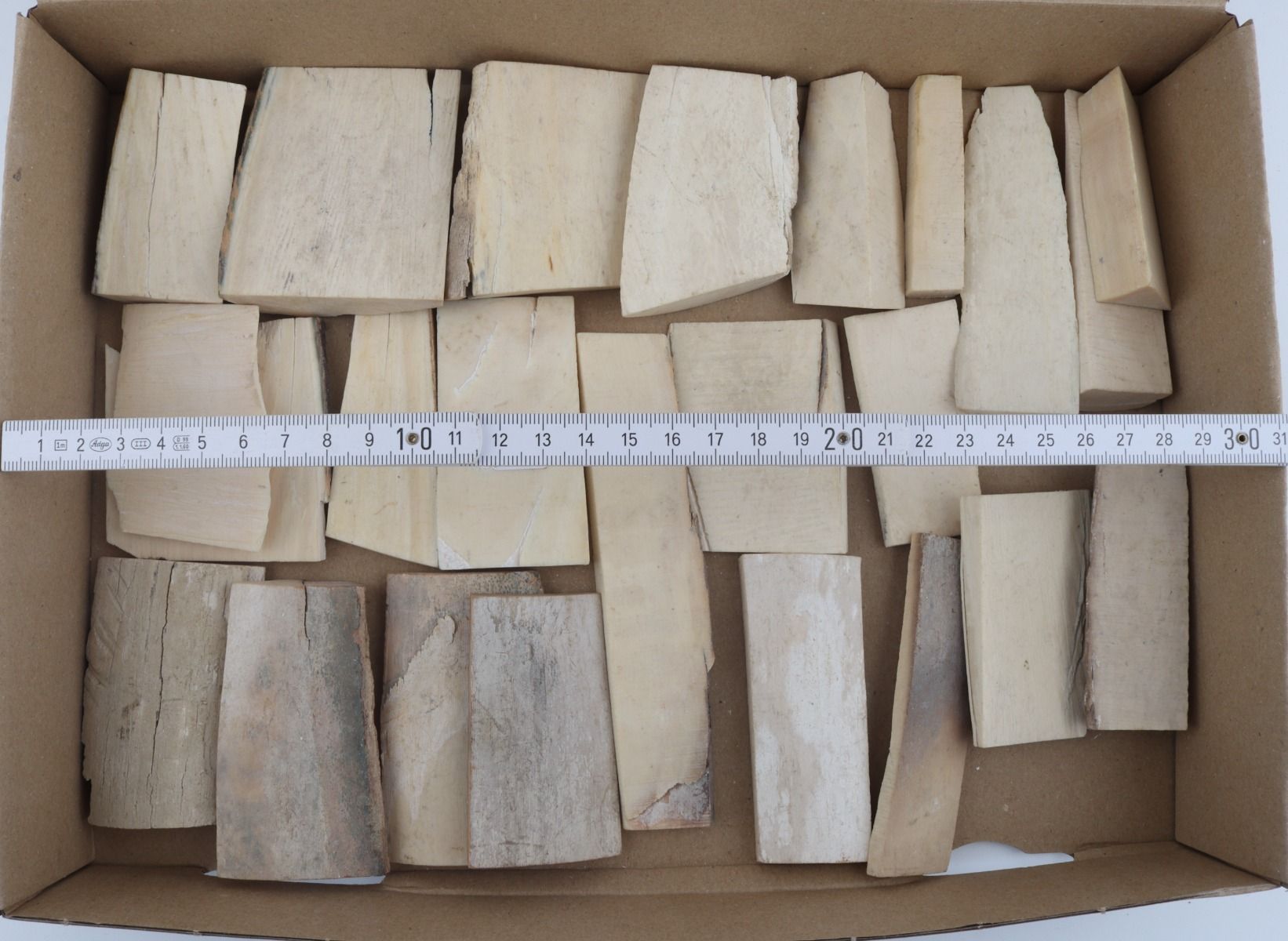 Raw mammoth ivory pieces