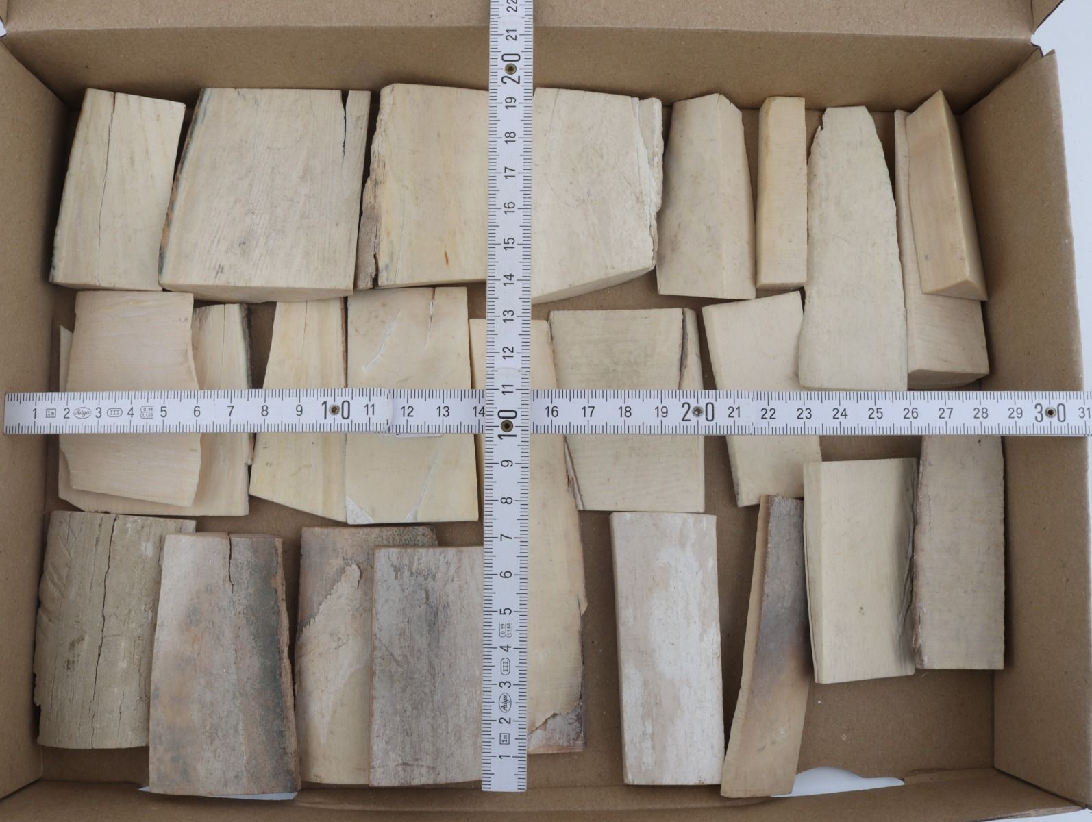 Raw mammoth ivory pieces