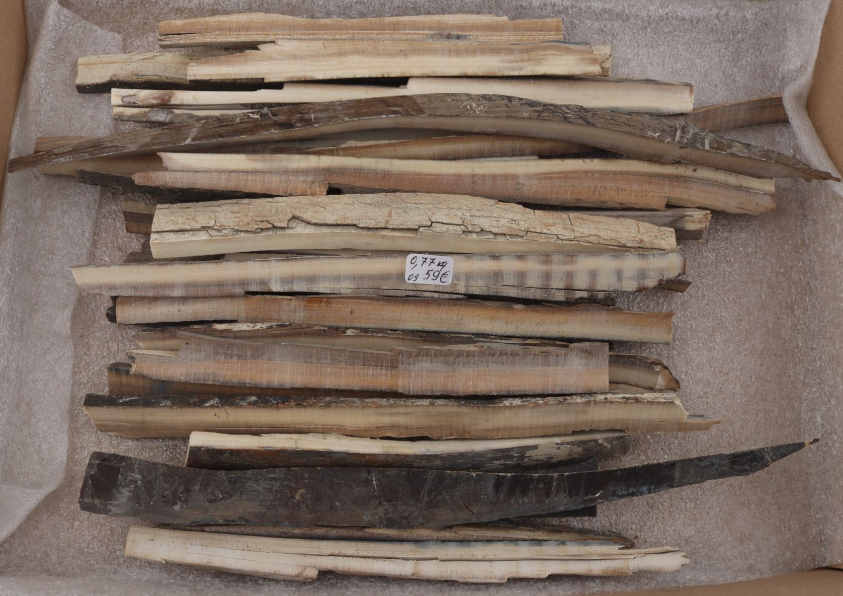 Raw mammoth ivory offcuts