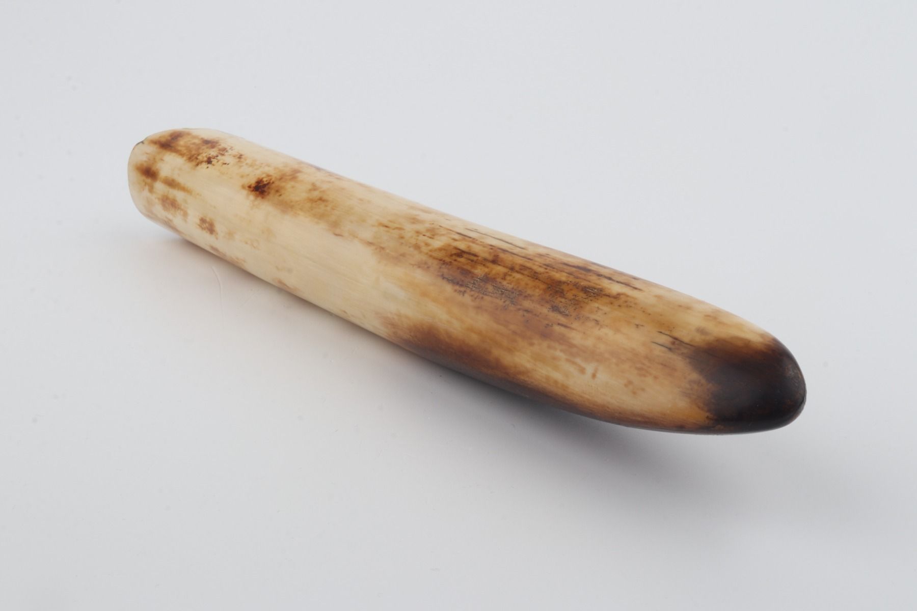 Restored mammoth tusk tip