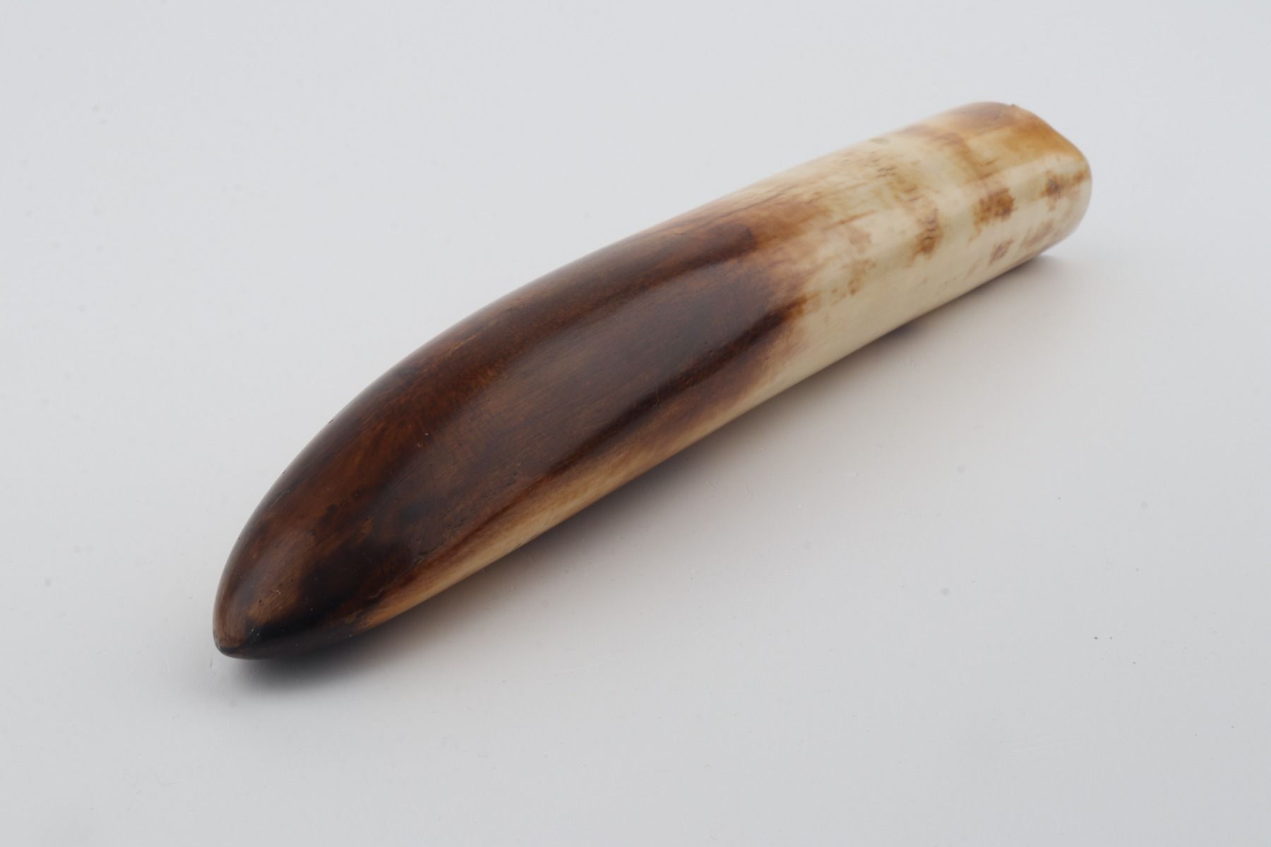 Restored mammoth tusk tip