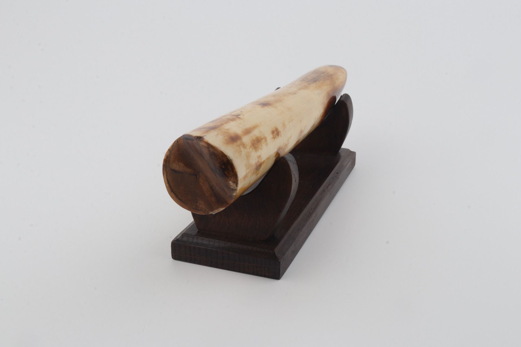 Restored mammoth tusk tip