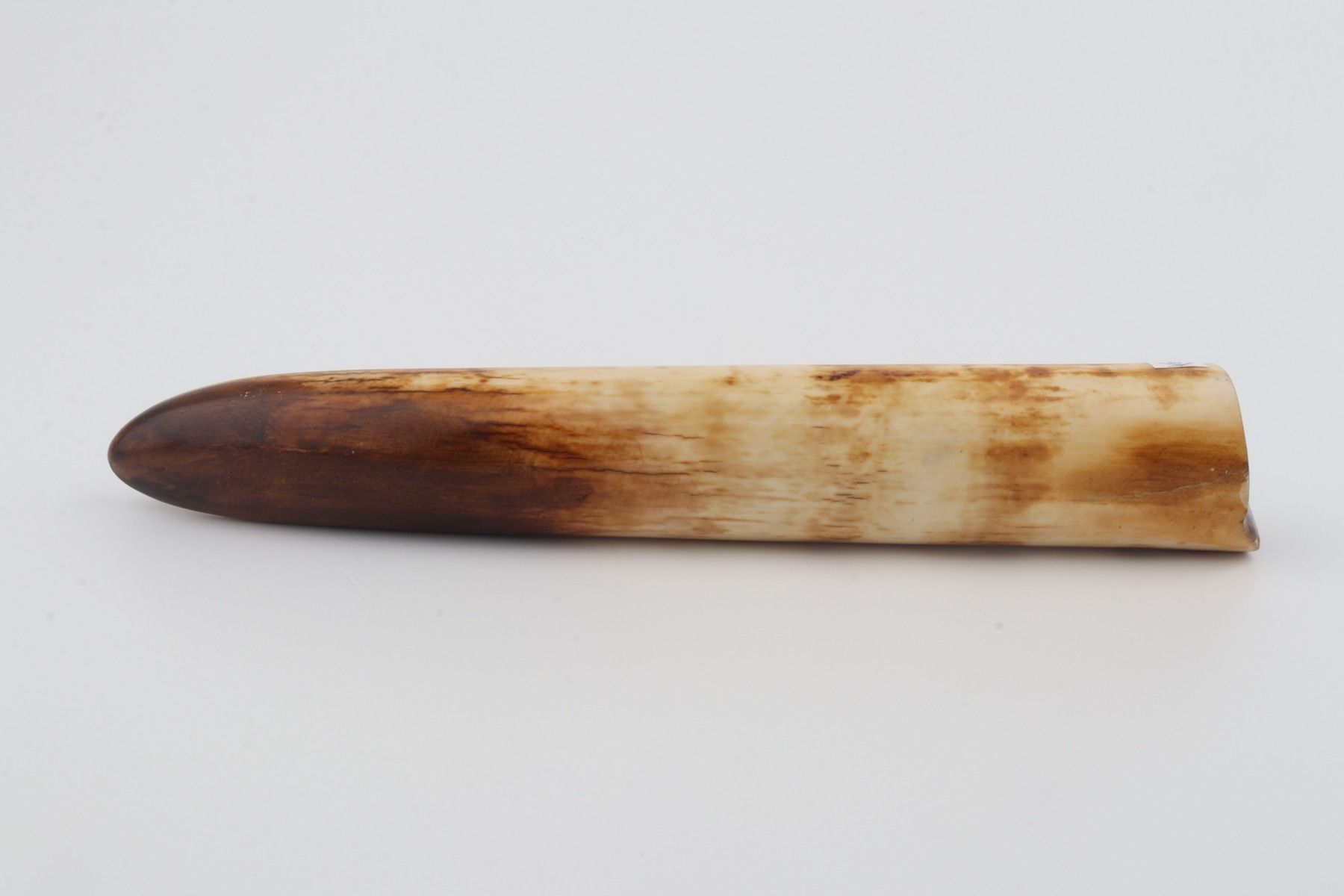 Restored mammoth tusk tip