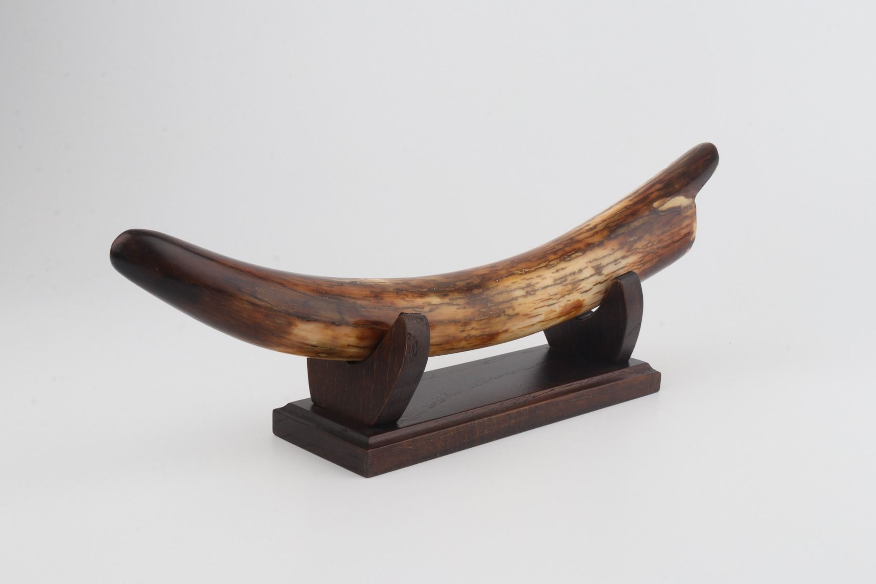 Restored mammoth tusk tip