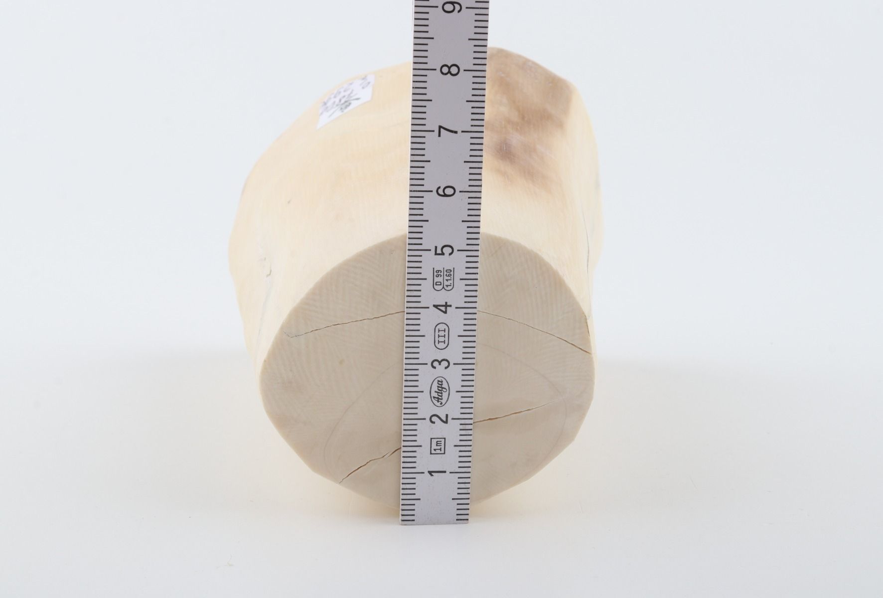 Natural mammoth ivory piece