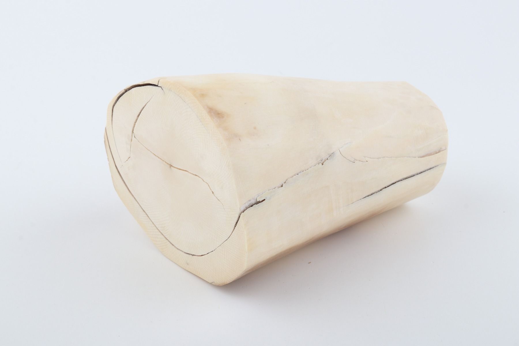 Natural mammoth ivory piece