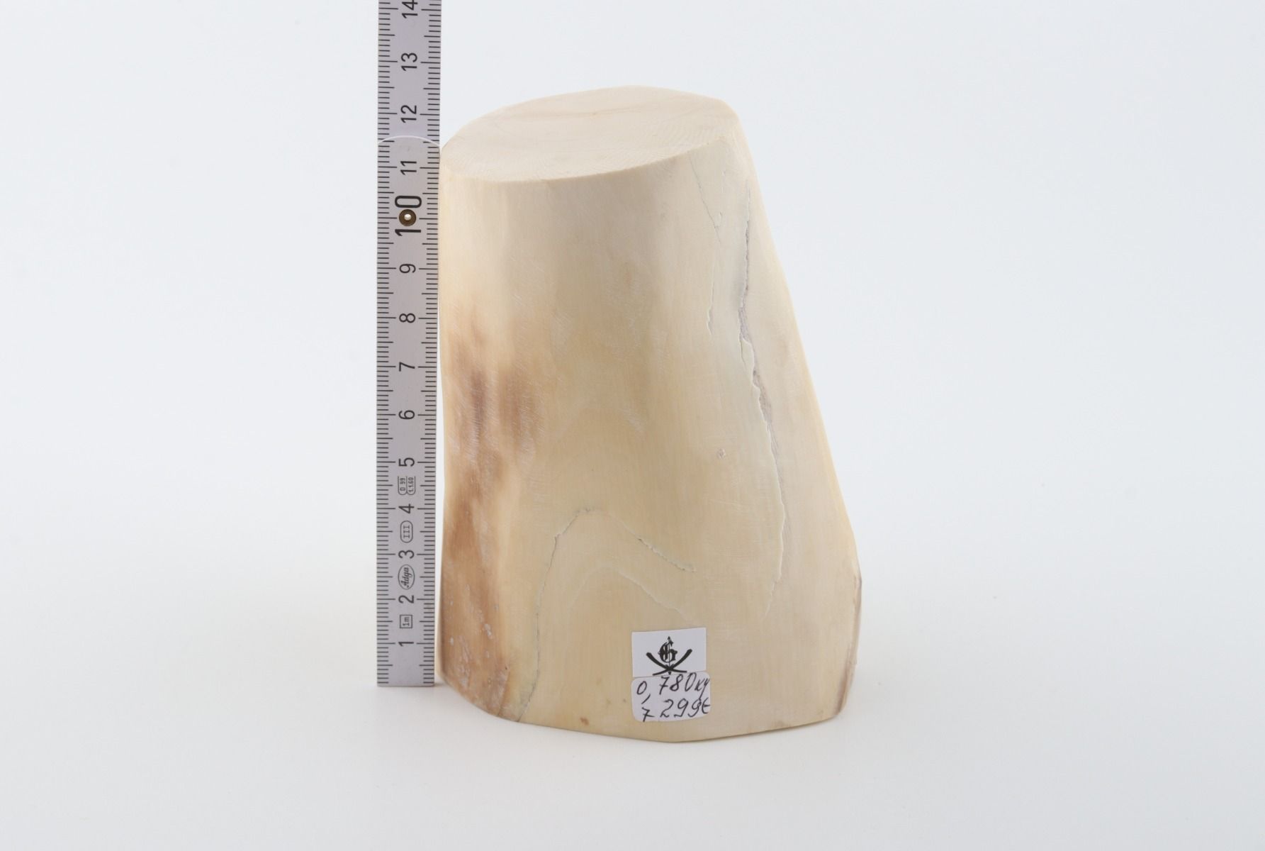 Natural mammoth ivory piece