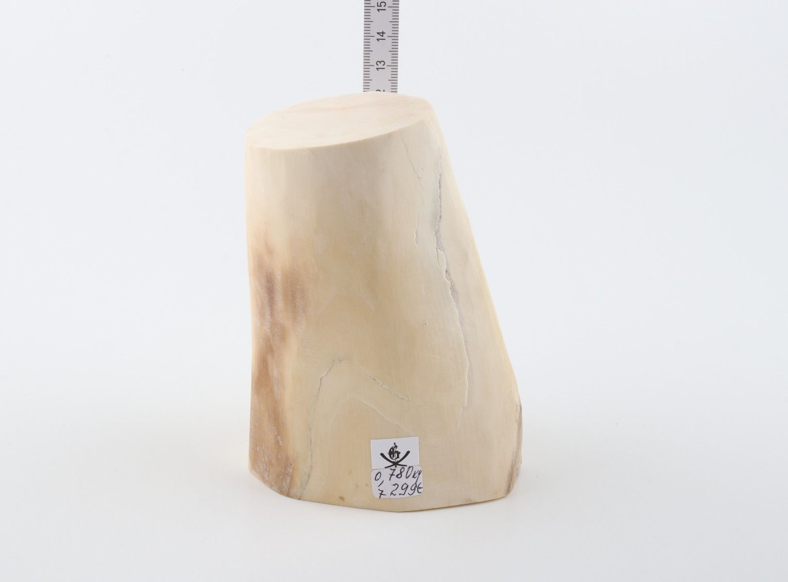 Natural mammoth ivory piece