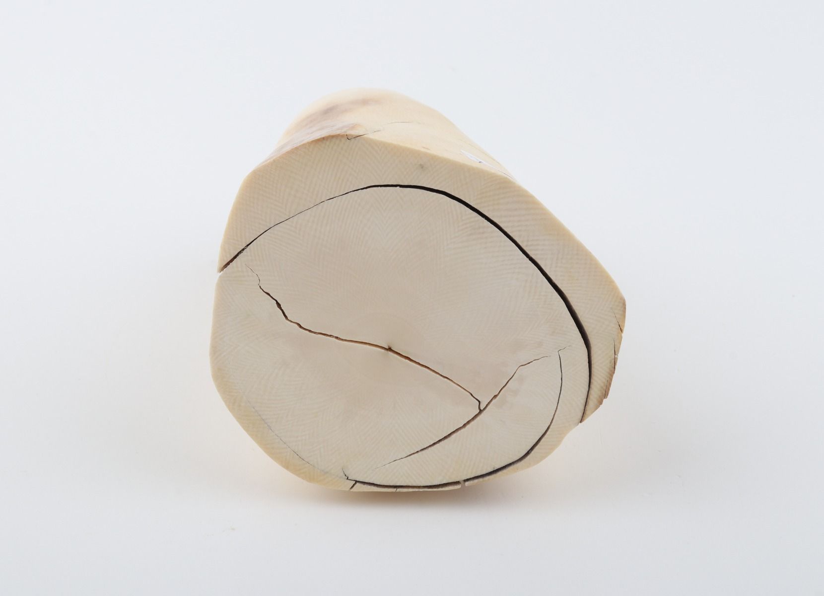 Natural mammoth ivory piece