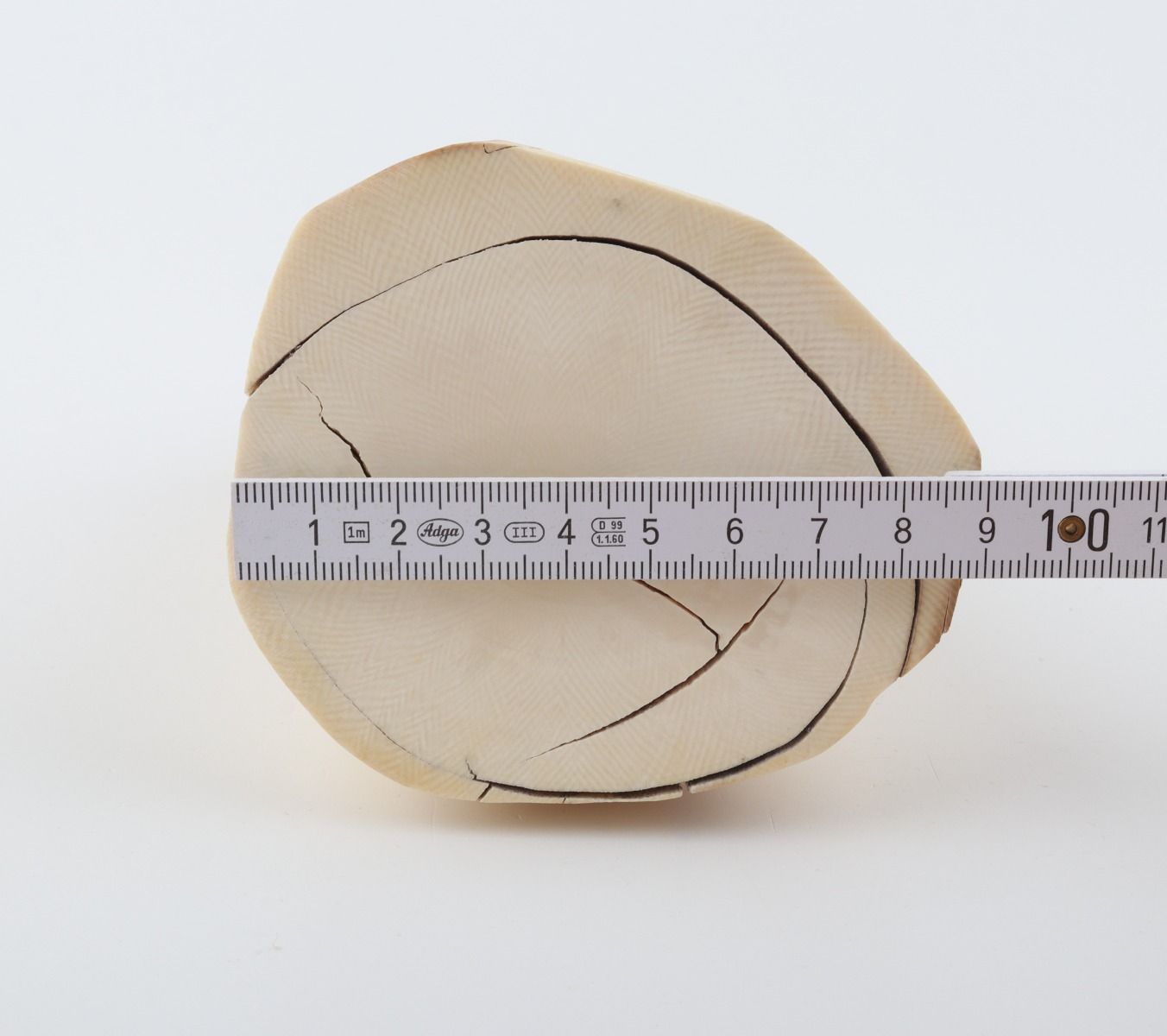 Natural mammoth ivory piece