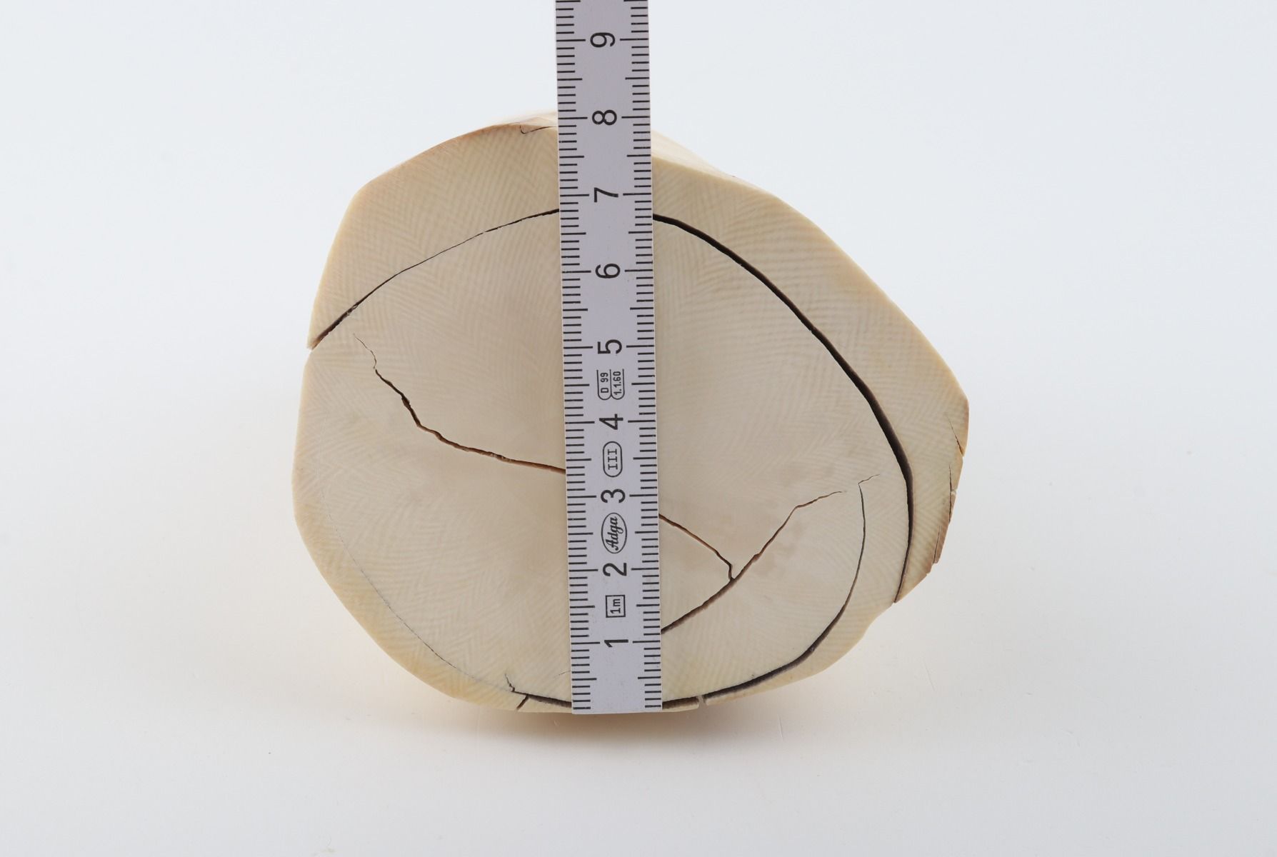 Natural mammoth ivory piece