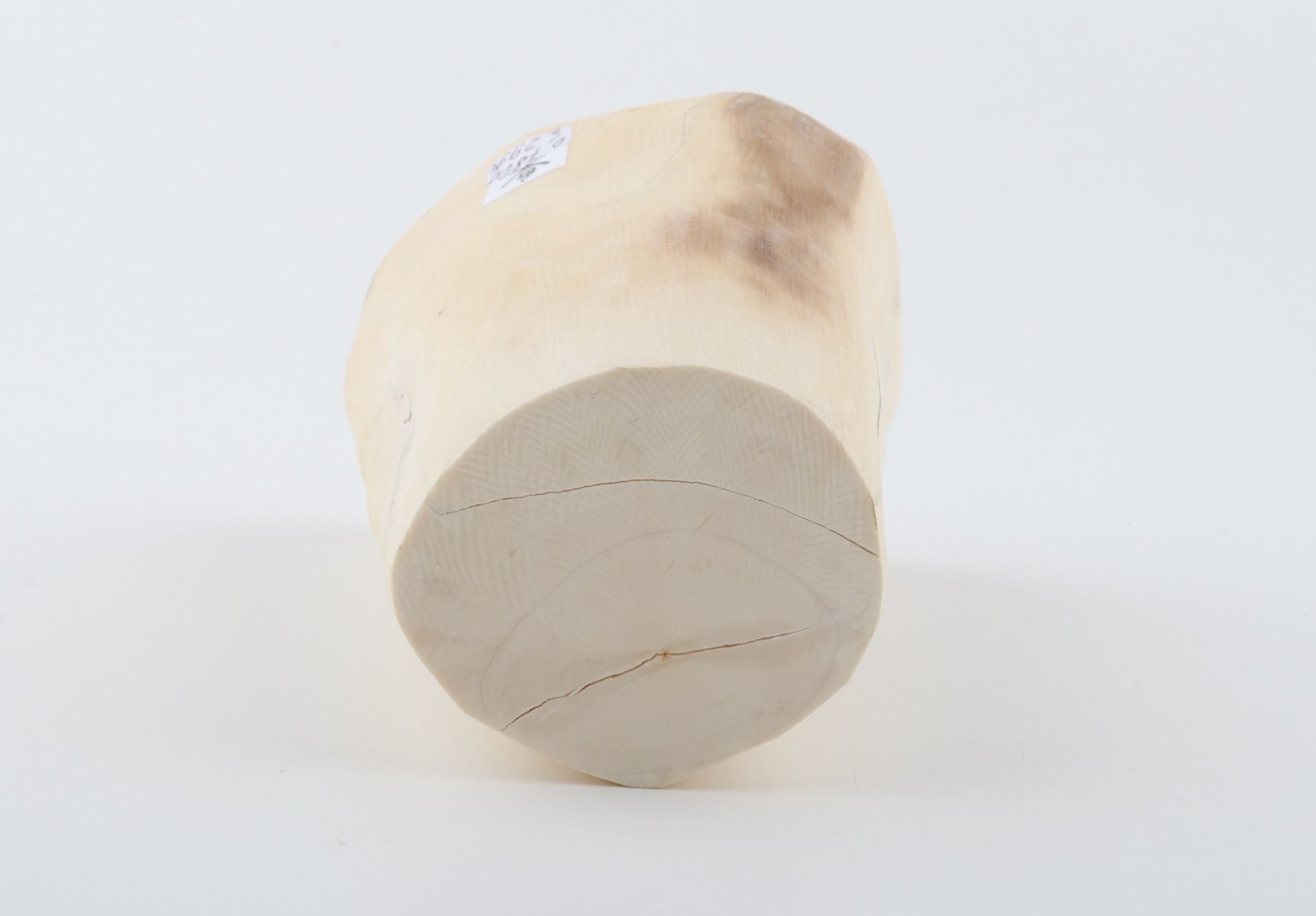 Natural mammoth ivory piece