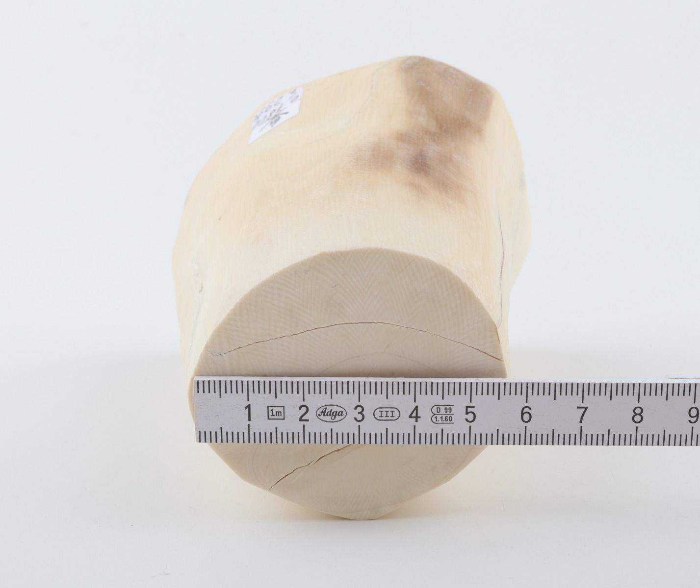 Natural mammoth ivory piece