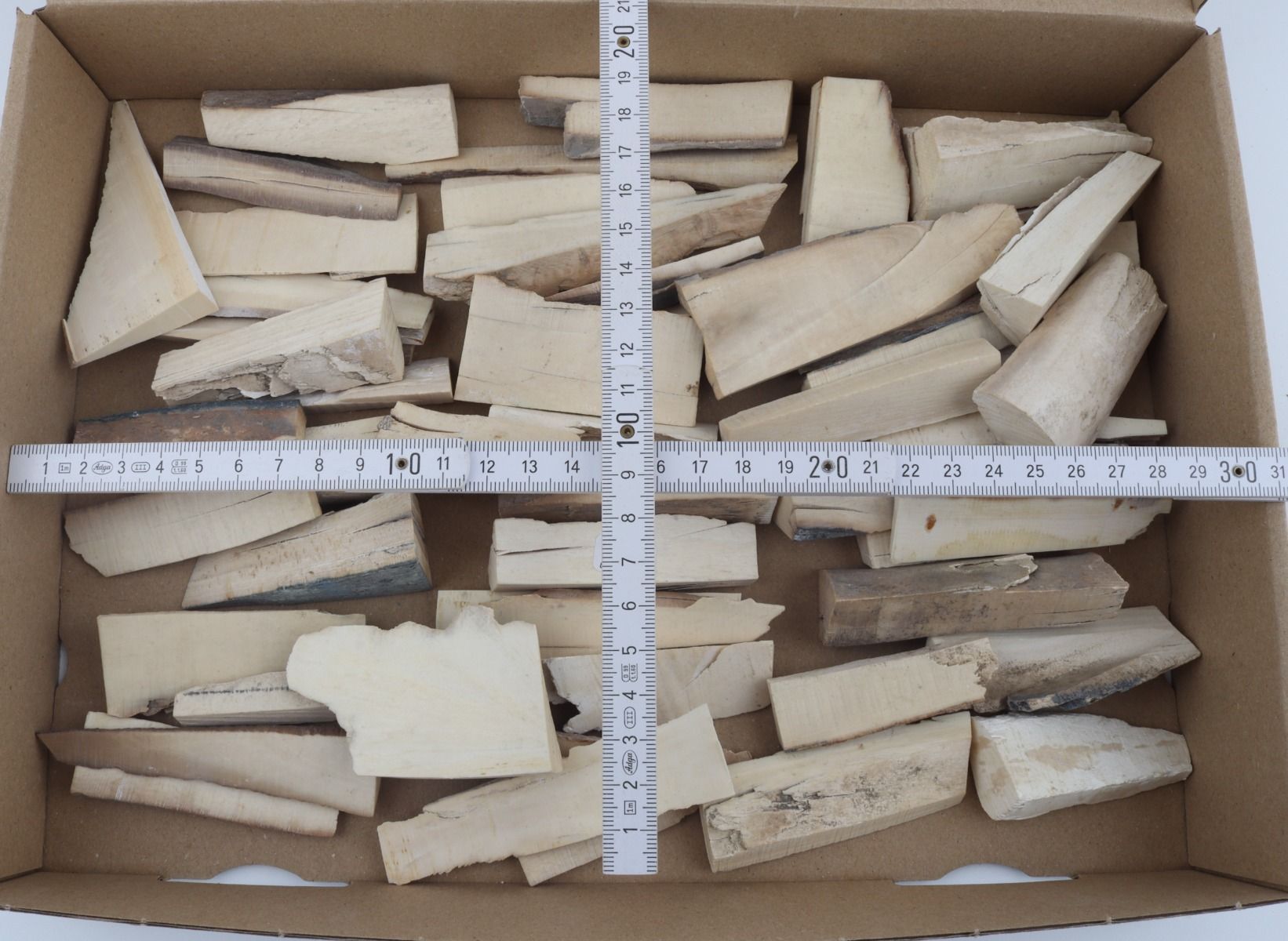 Untreated mammoth ivory offcuts