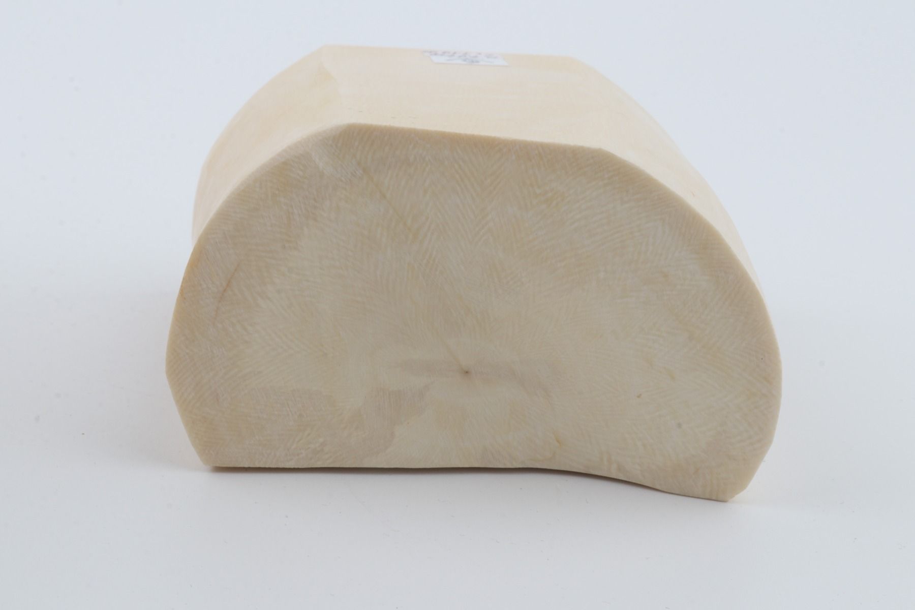 White mammoth ivory segment