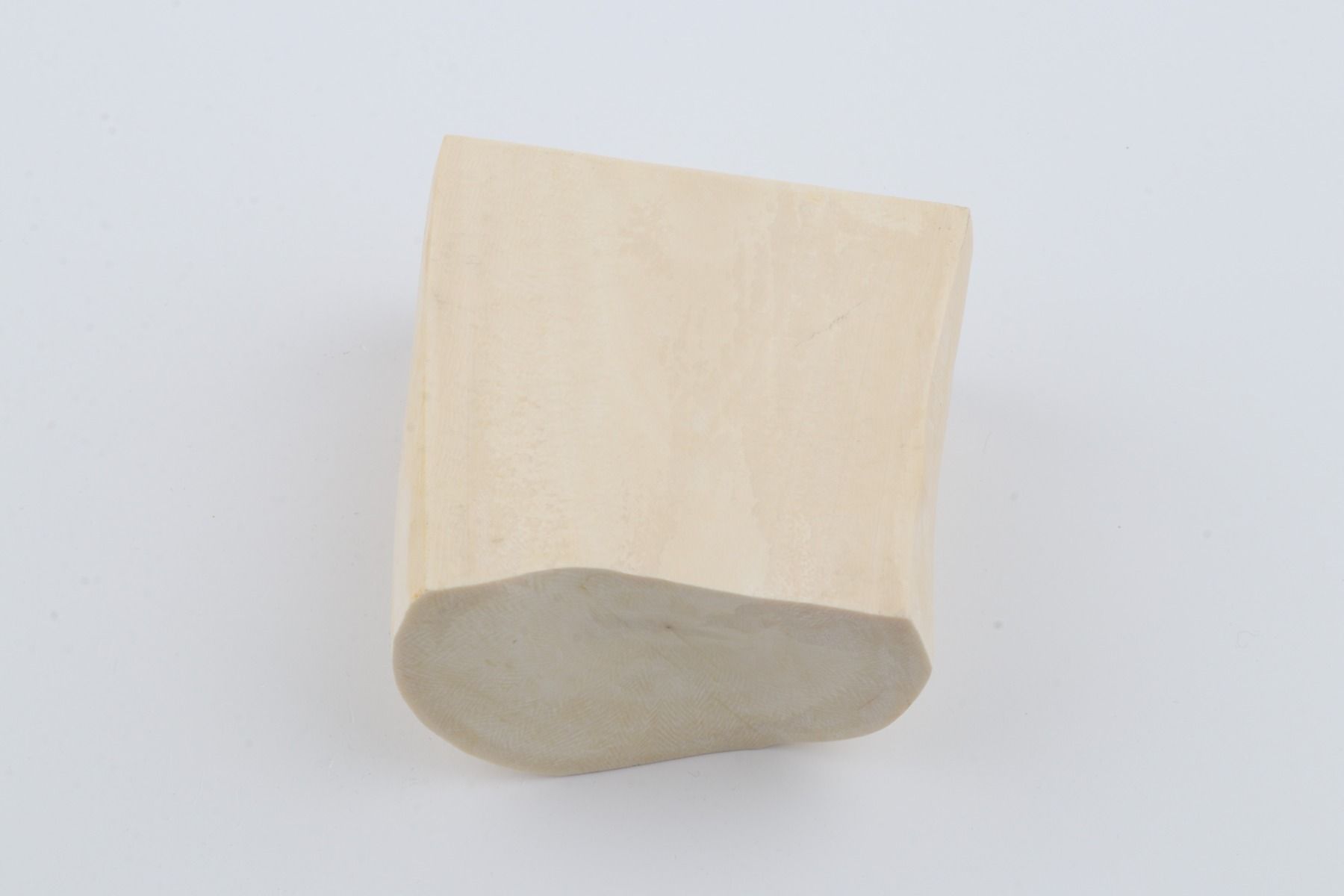 White mammoth ivory segment