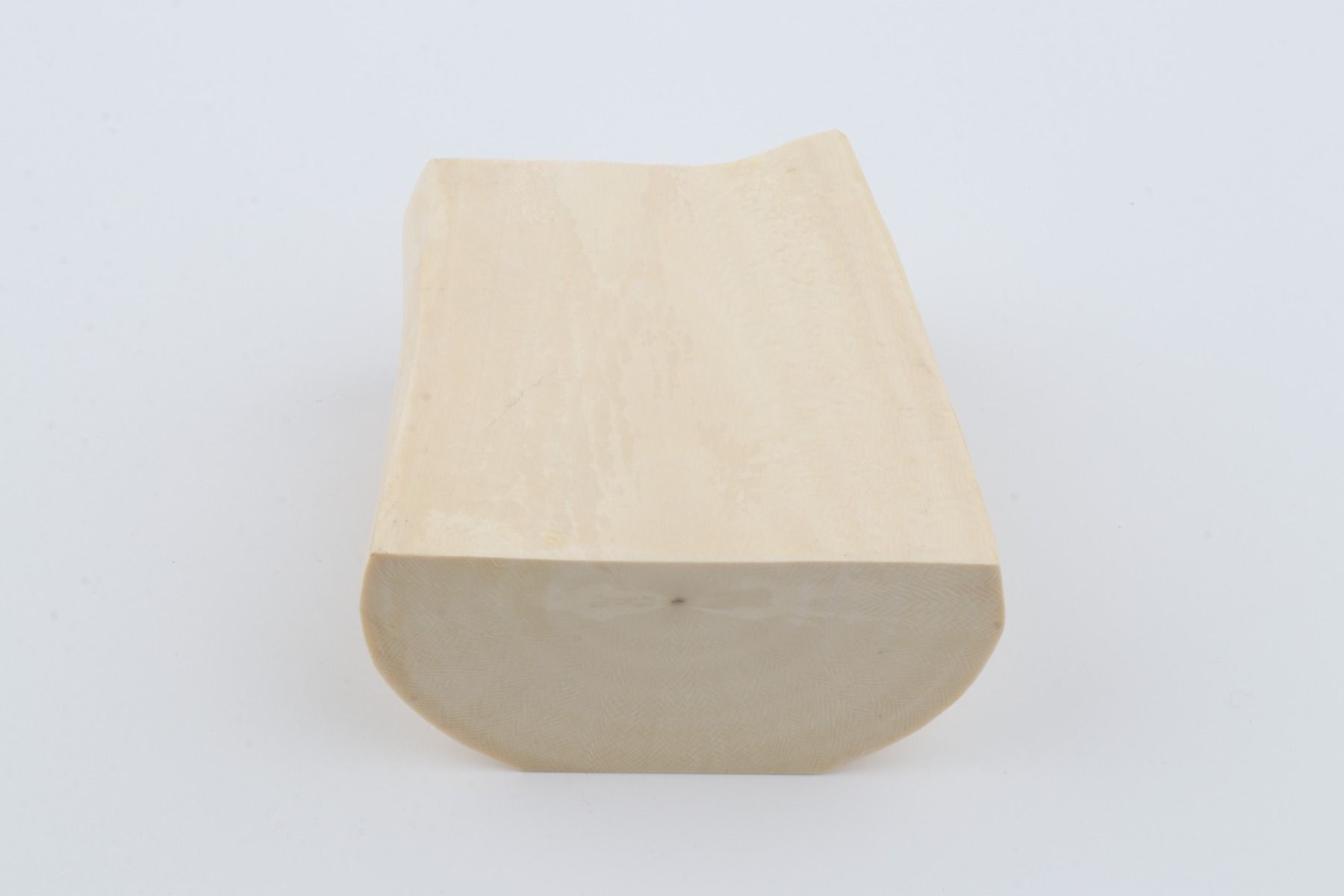 White mammoth ivory segment