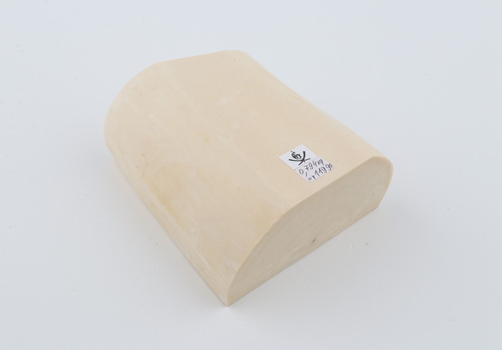 White mammoth ivory segment