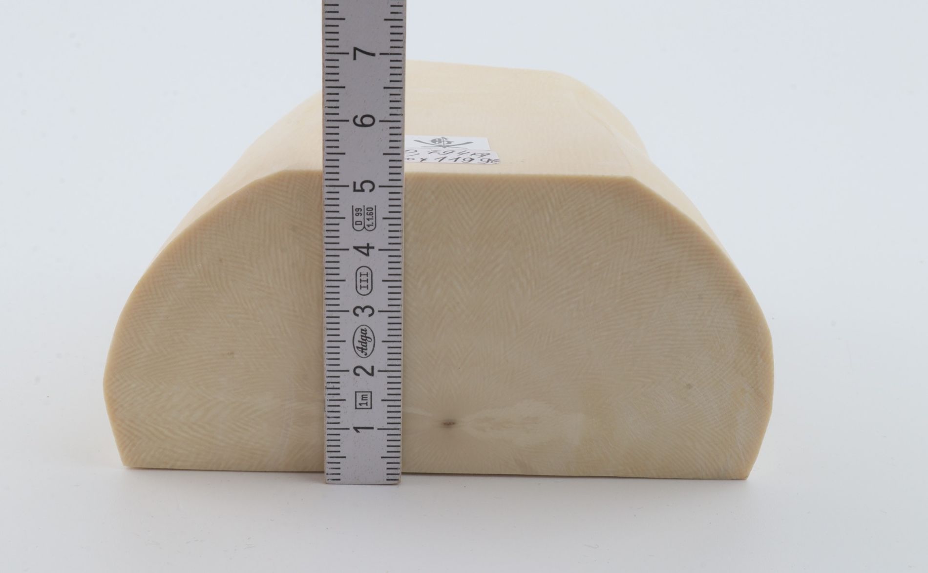White mammoth ivory segment