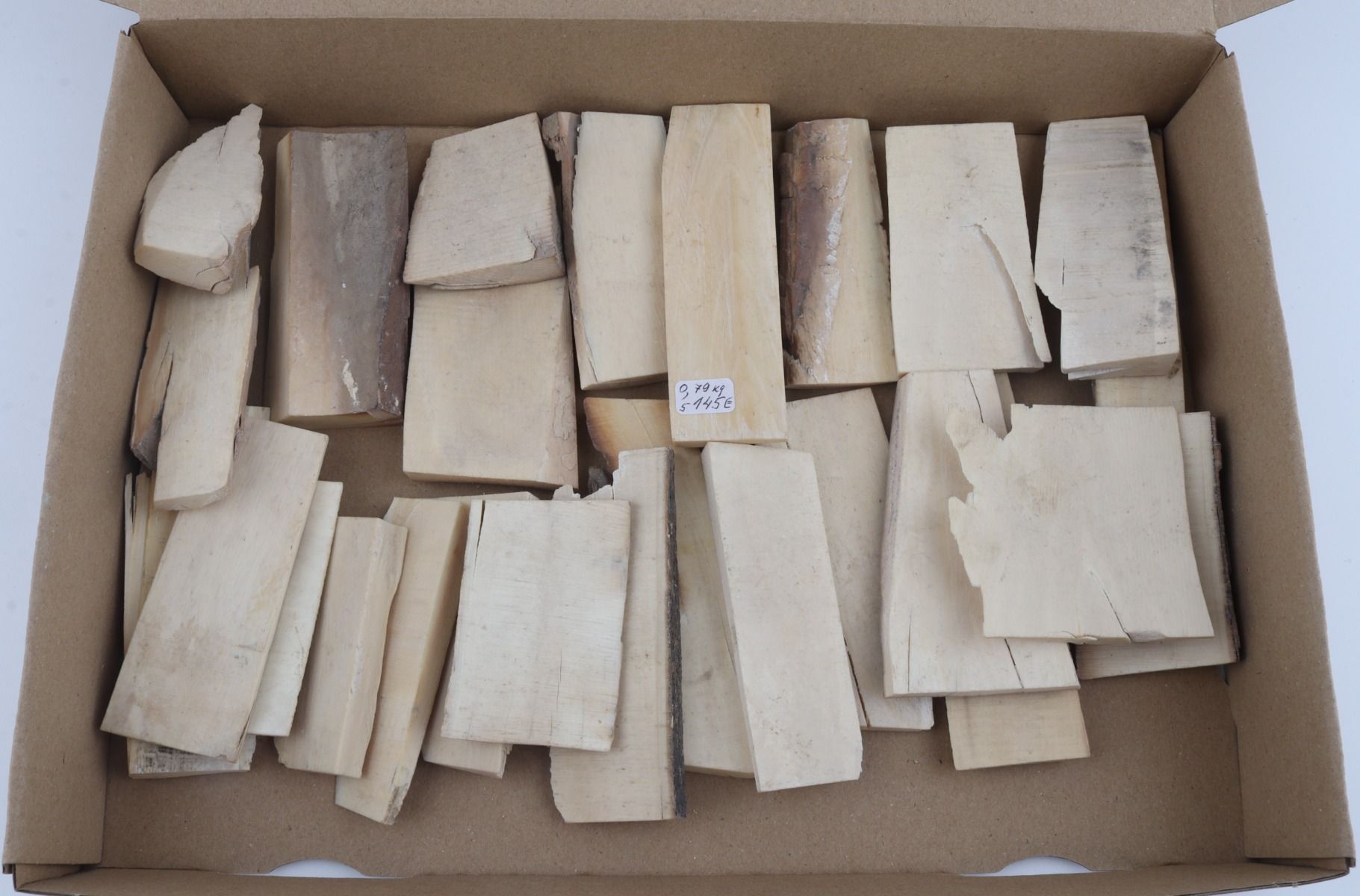 White mammoth ivory pieces