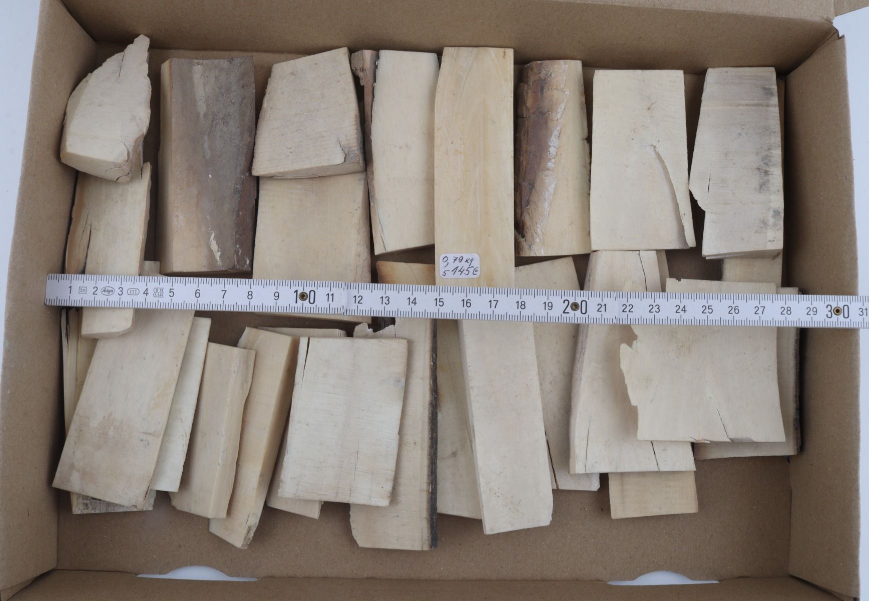 White mammoth ivory pieces