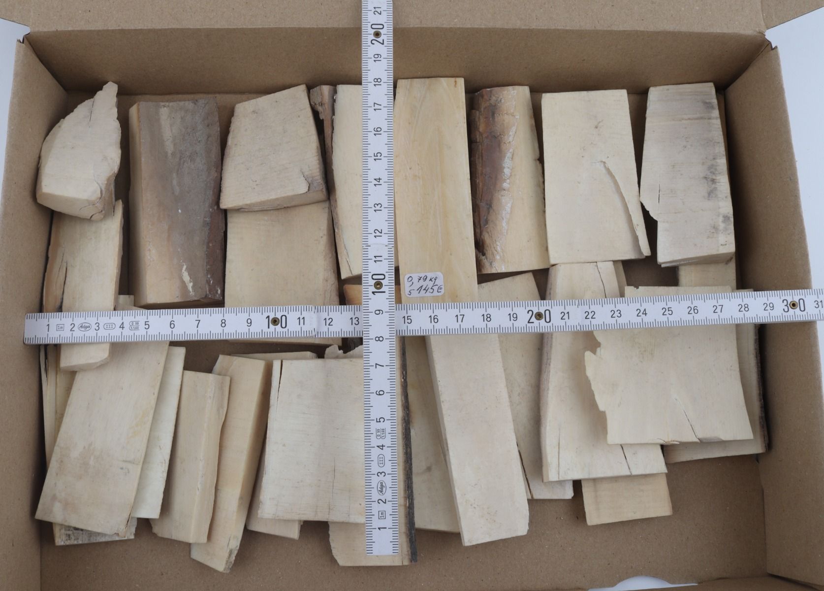 White mammoth ivory pieces