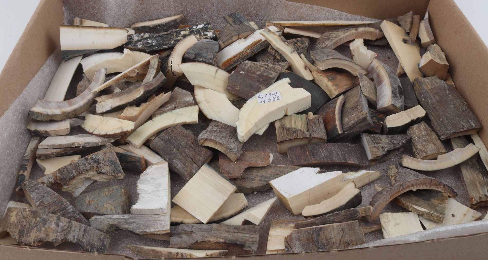 Raw mammoth ivory pieces