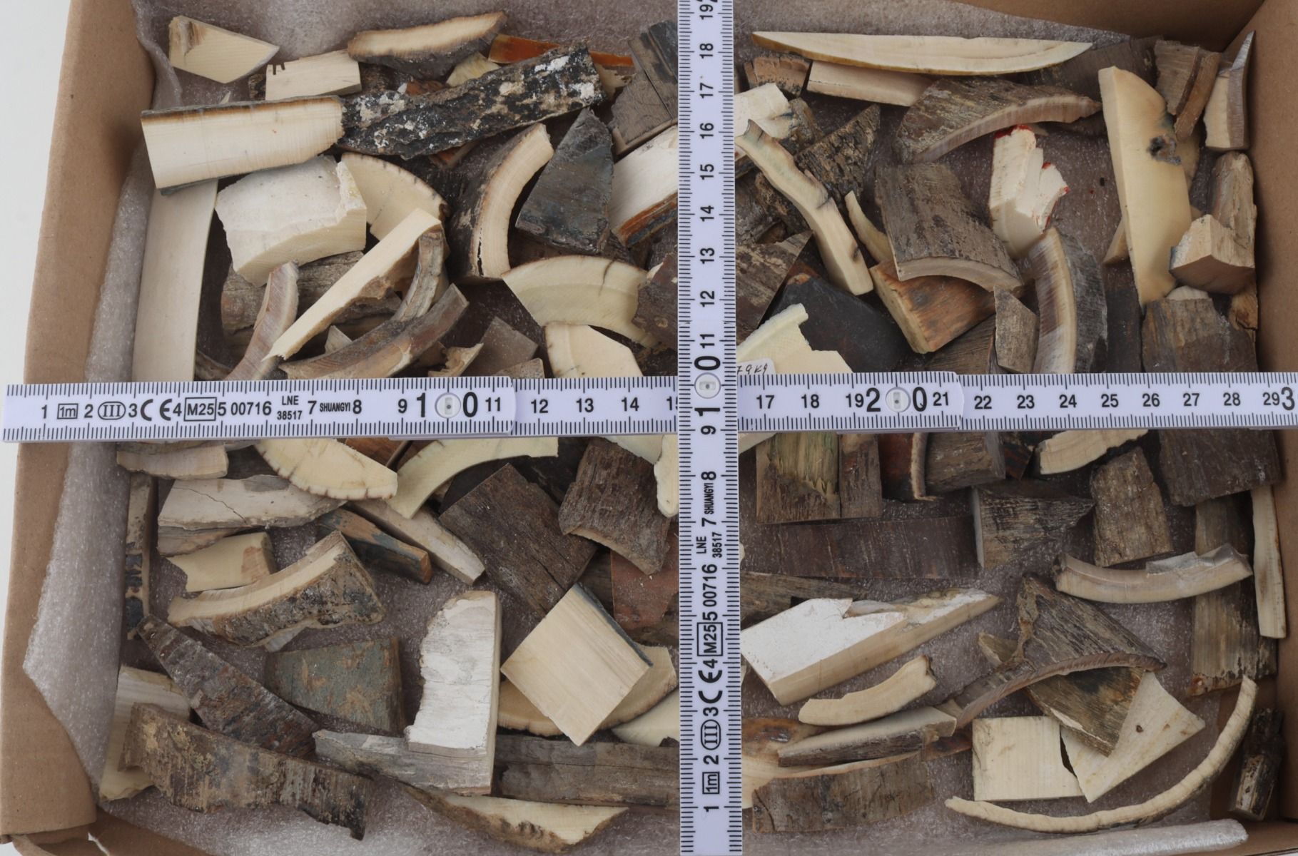 Raw mammoth ivory pieces