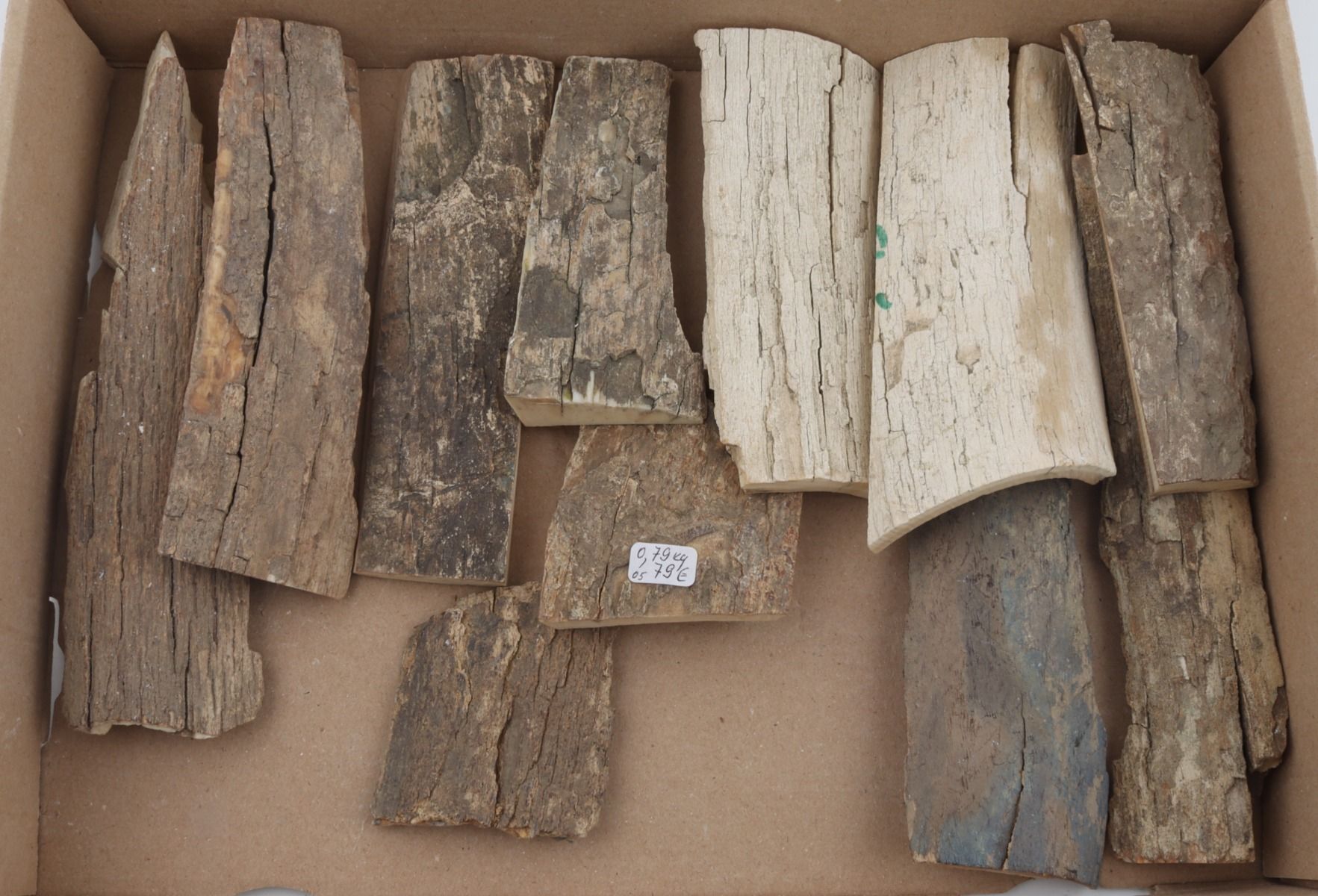 Untreated mammoth bark pieces