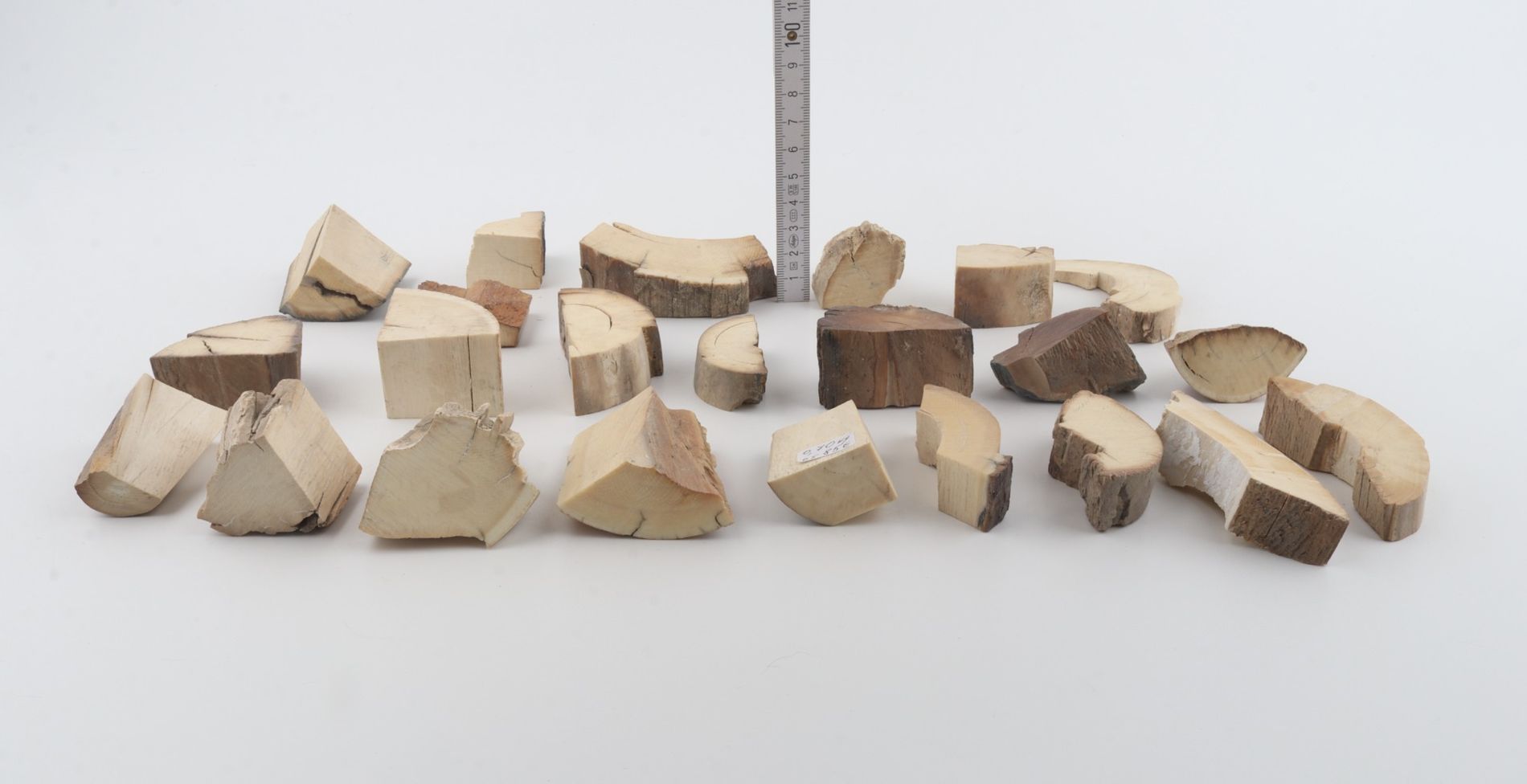 Raw mammoth ivory pieces