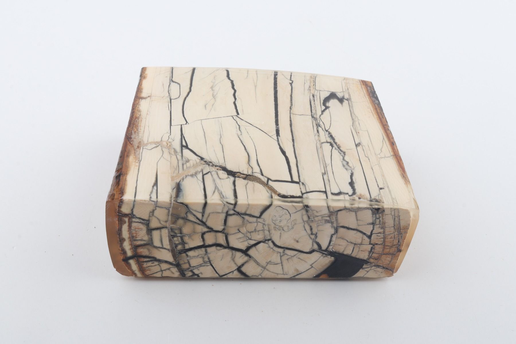 Stabilised mammoth ivory slab