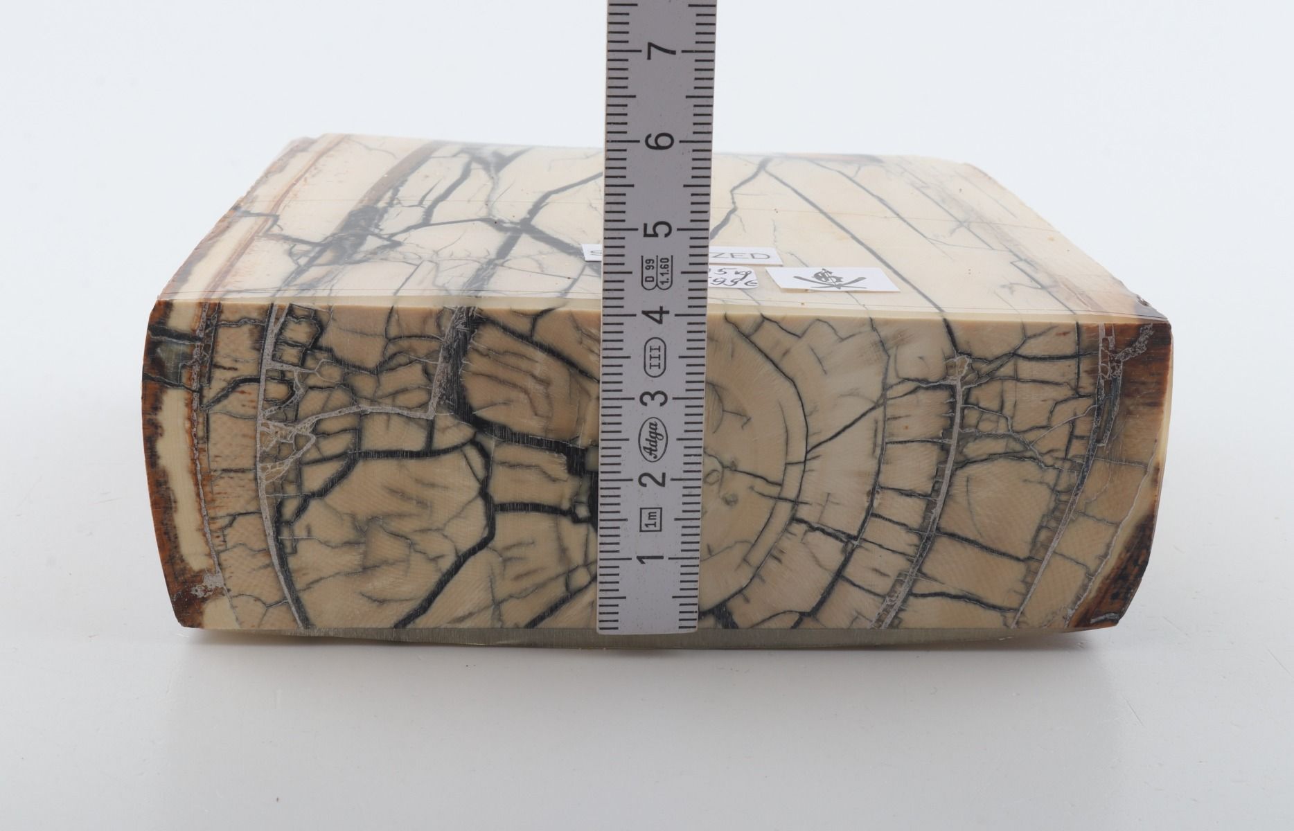 Stabilised mammoth ivory slab