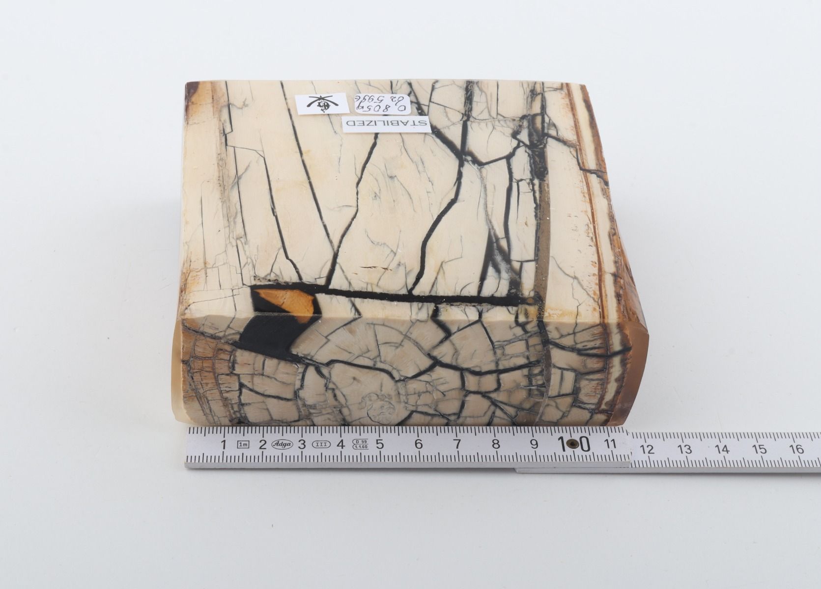 Stabilised mammoth ivory slab