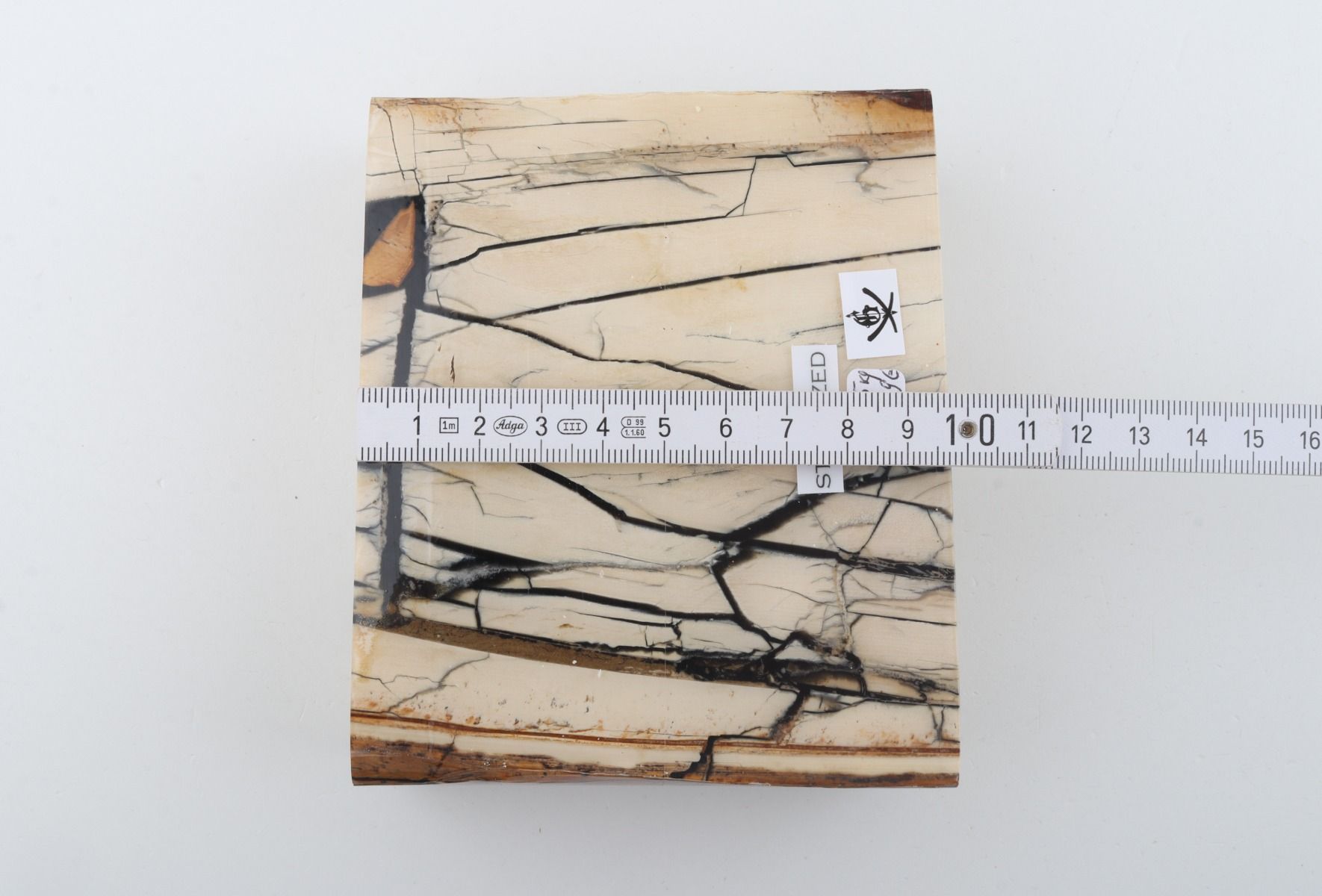 Stabilised mammoth ivory slab