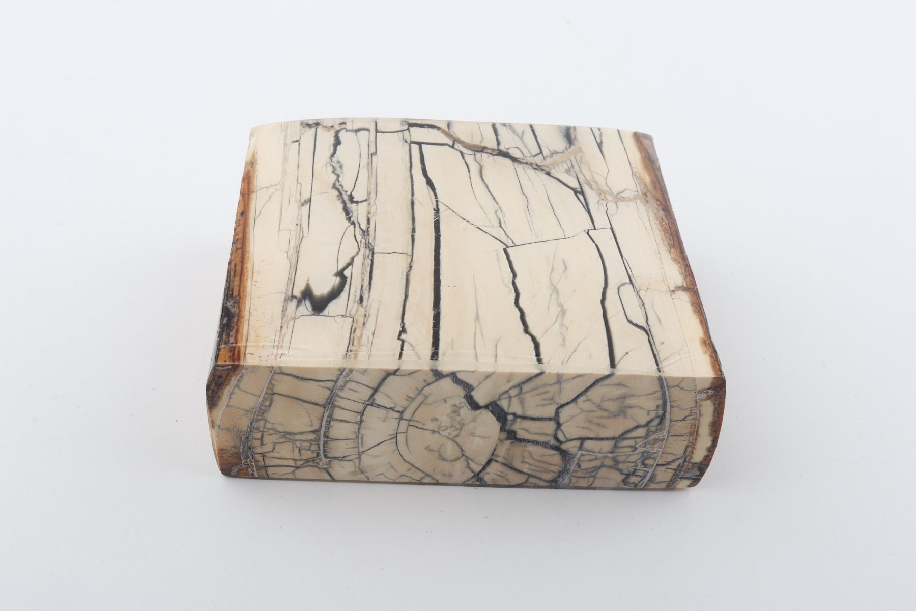 Stabilised mammoth ivory slab