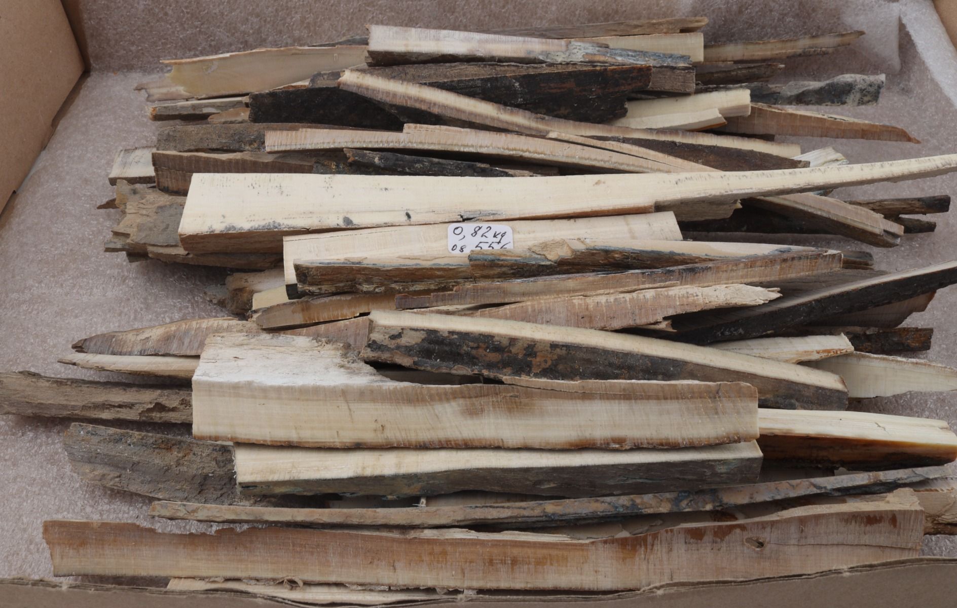 Natural mammoth ivory offcuts