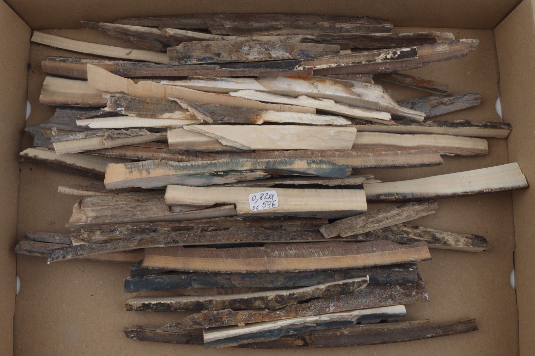Raw mammoth ivory offcuts
