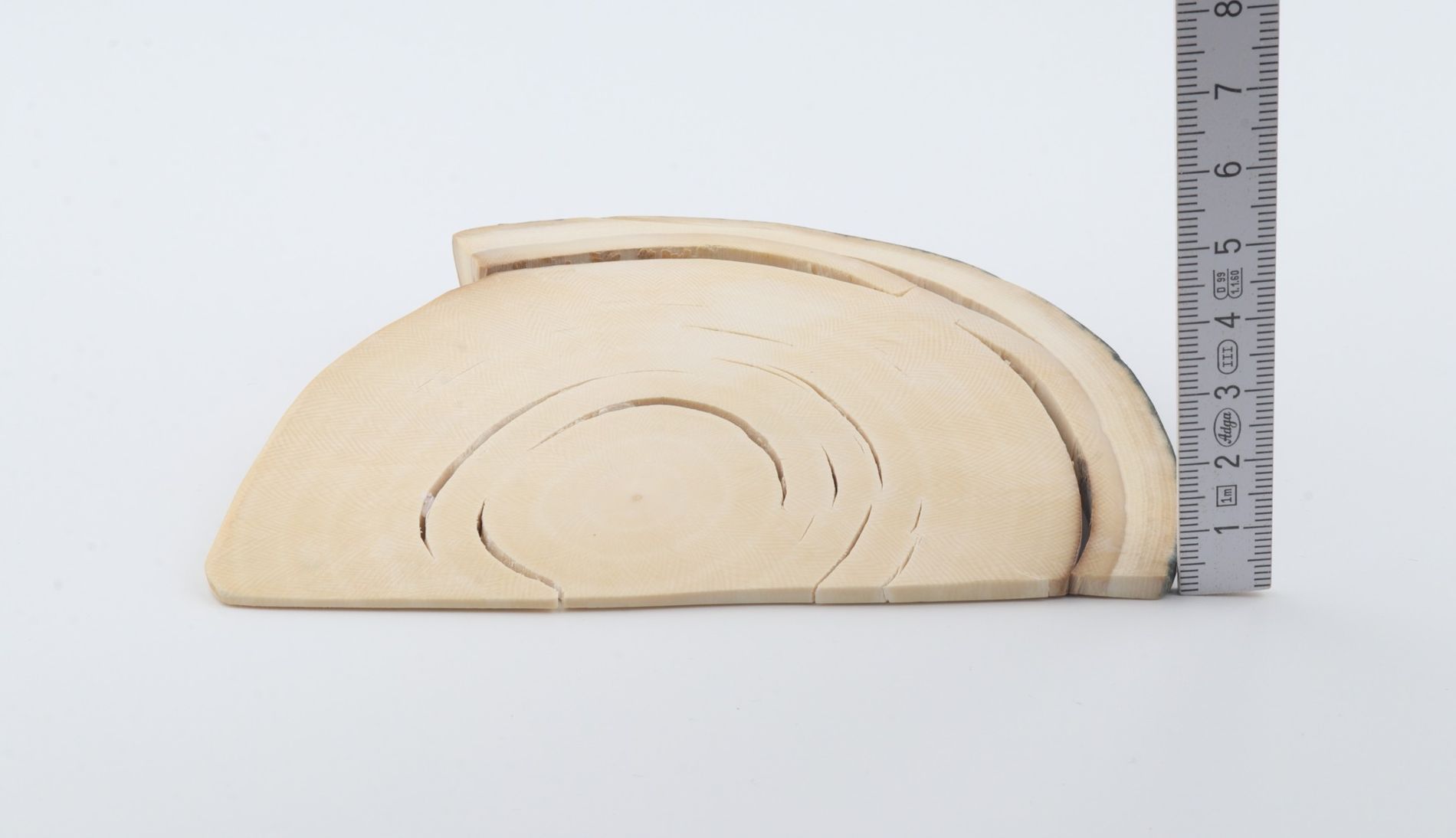 Natural mammoth ivory piece