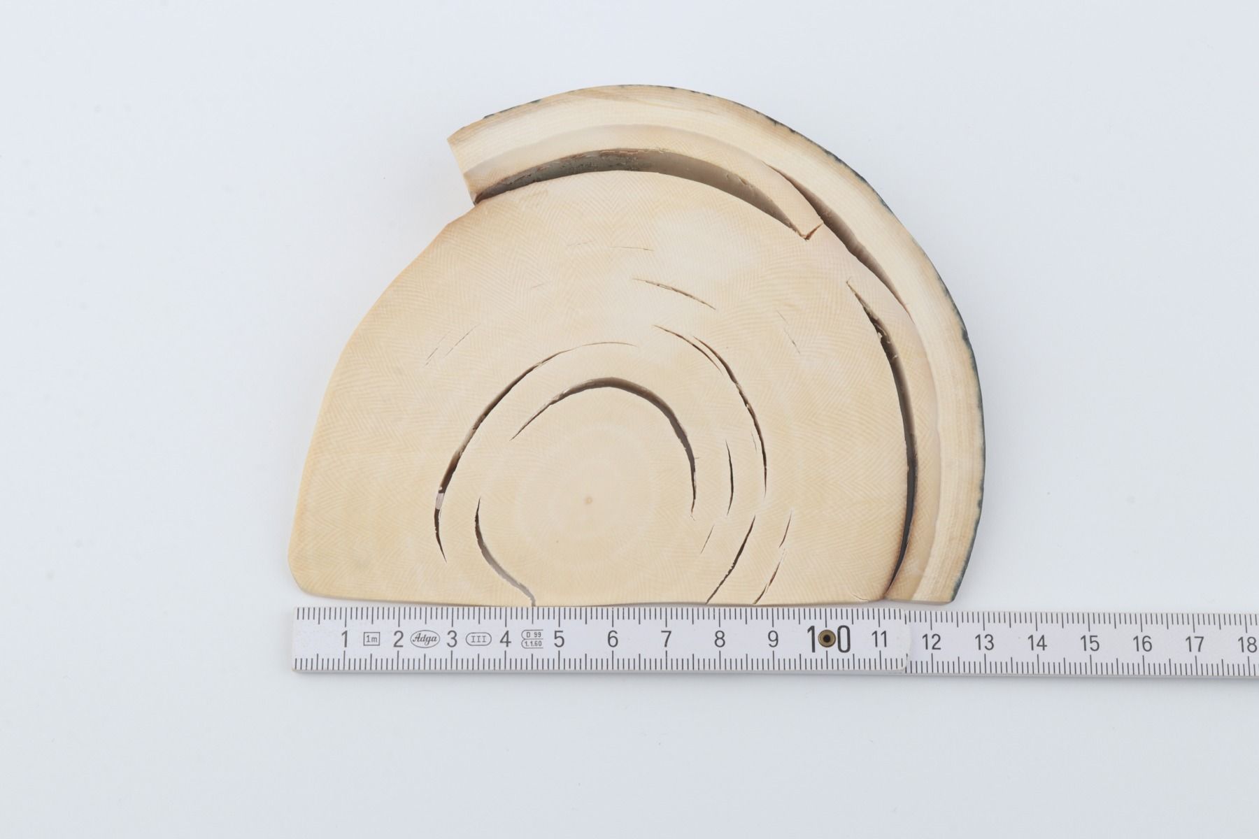 Natural mammoth ivory piece