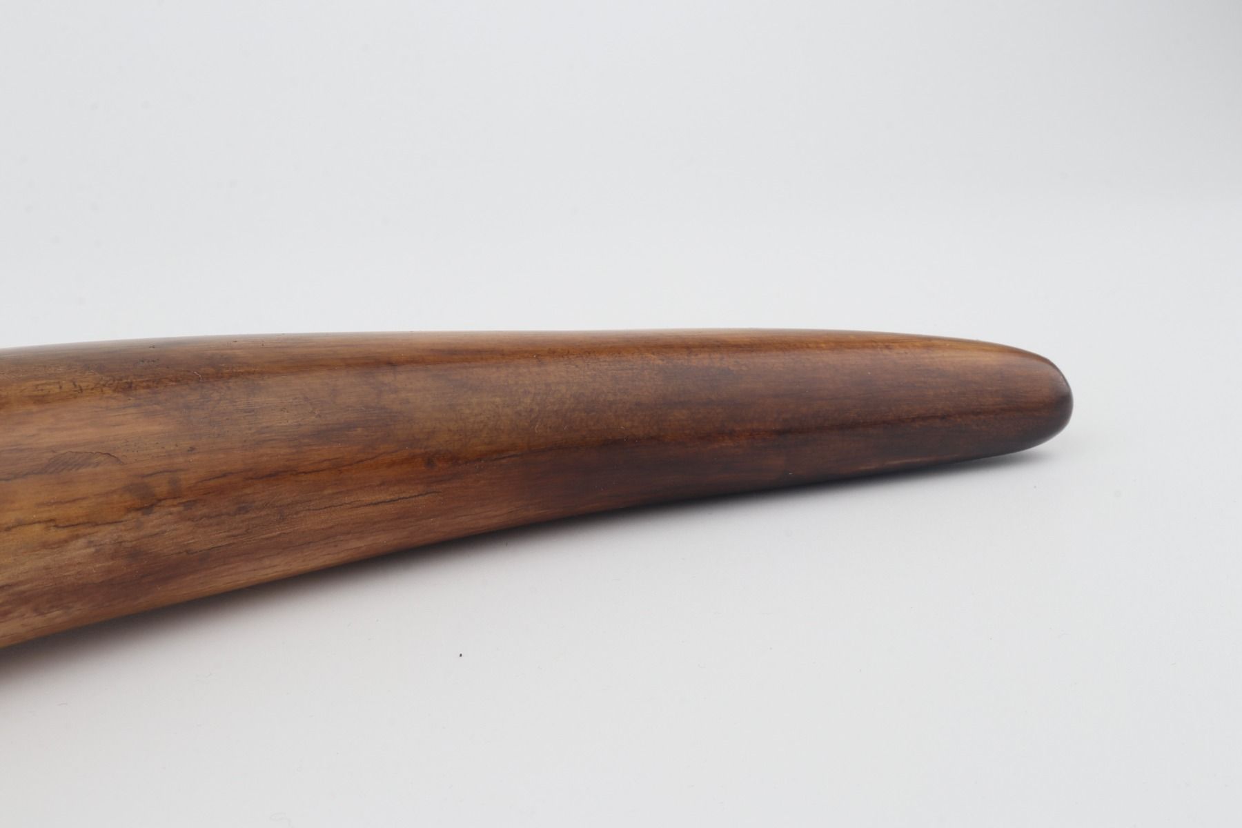 Restored woolly mammoth tusk