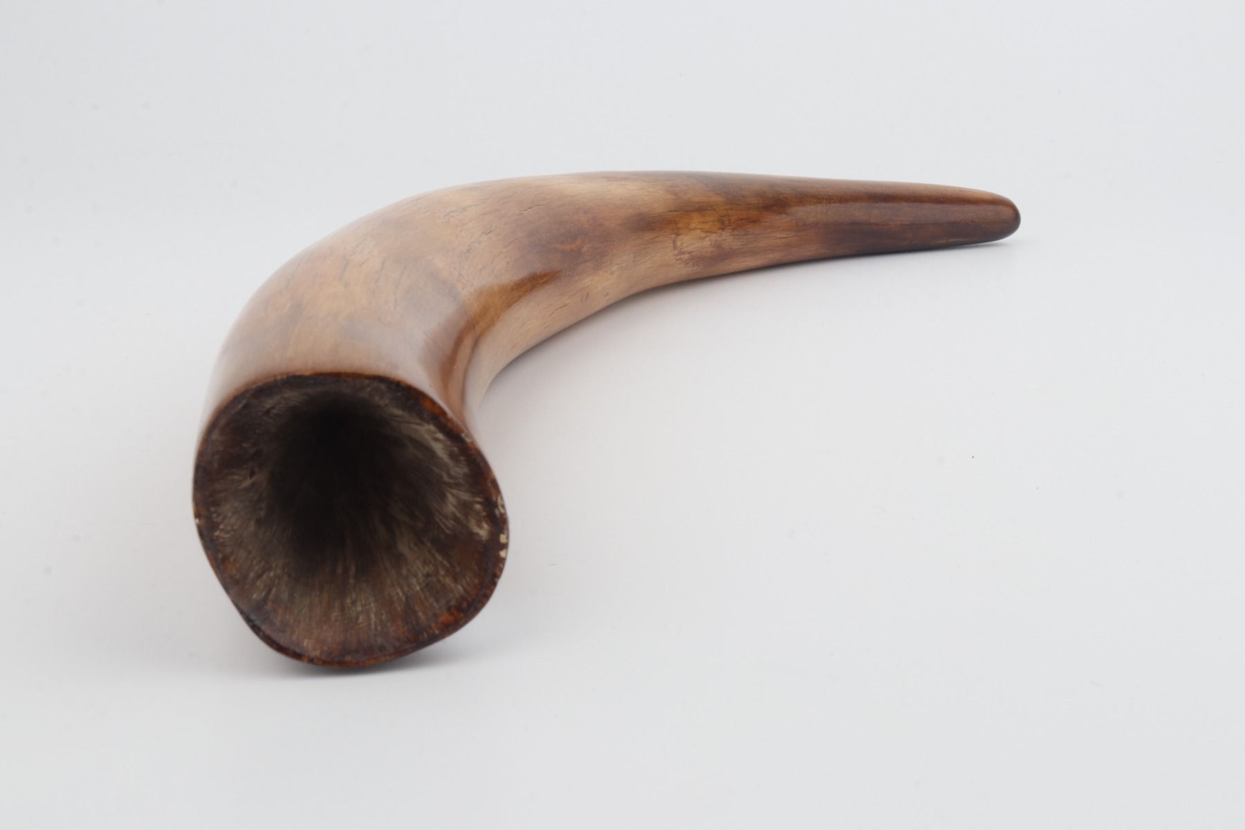 Restored woolly mammoth tusk