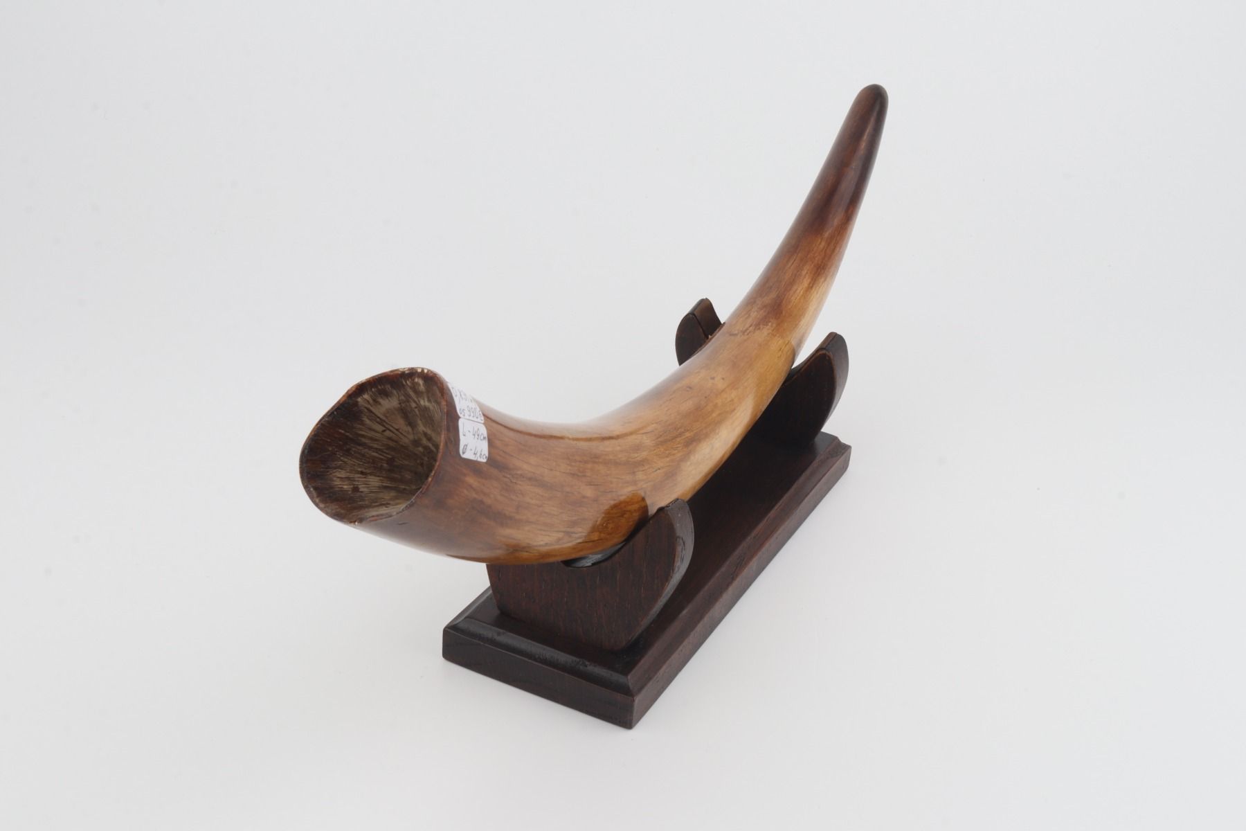 Restored woolly mammoth tusk