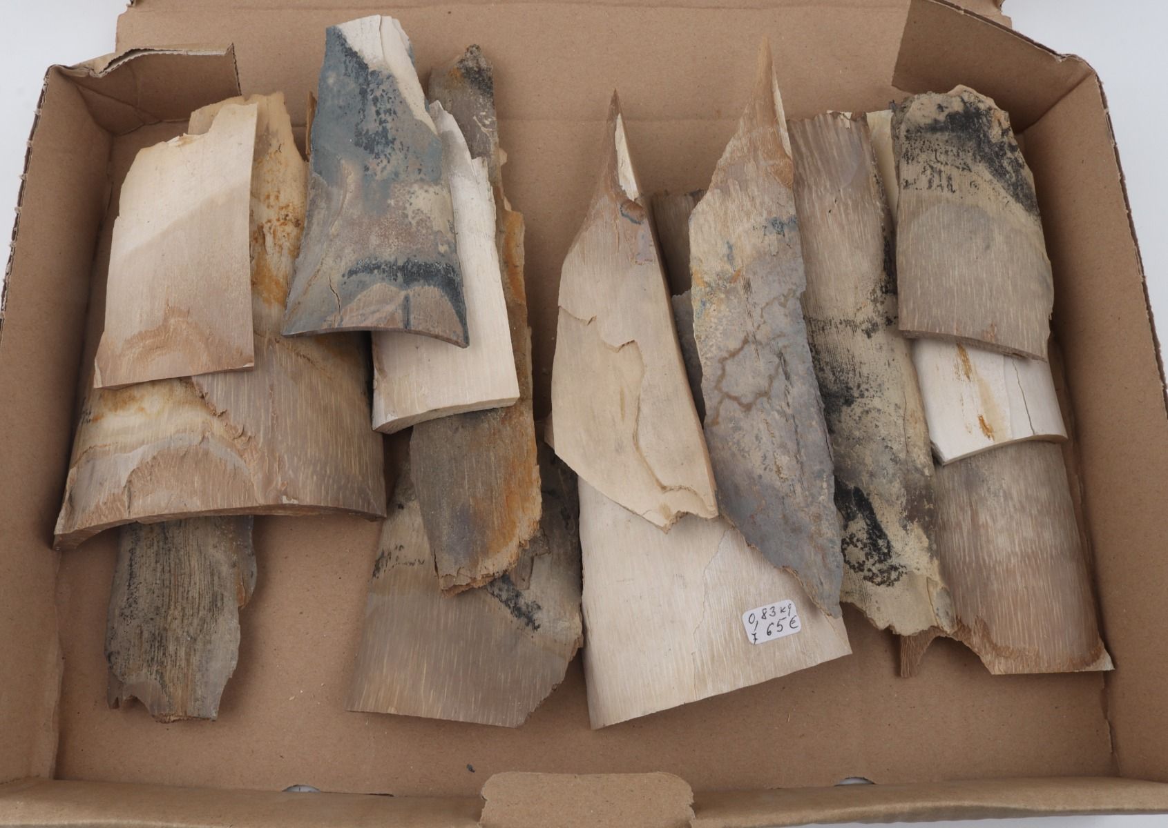 Raw mammoth ivory pieces