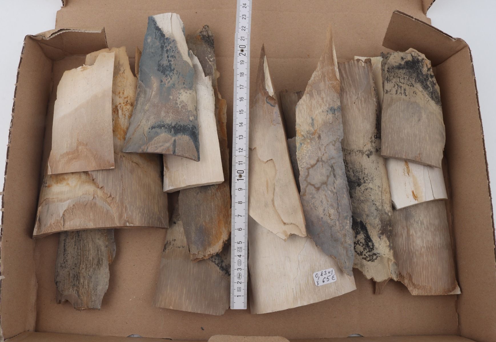 Raw mammoth ivory pieces