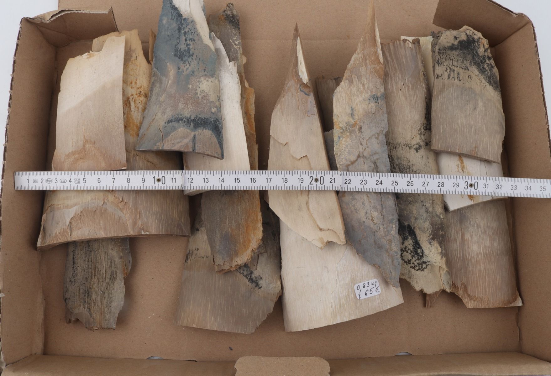 Raw mammoth ivory pieces