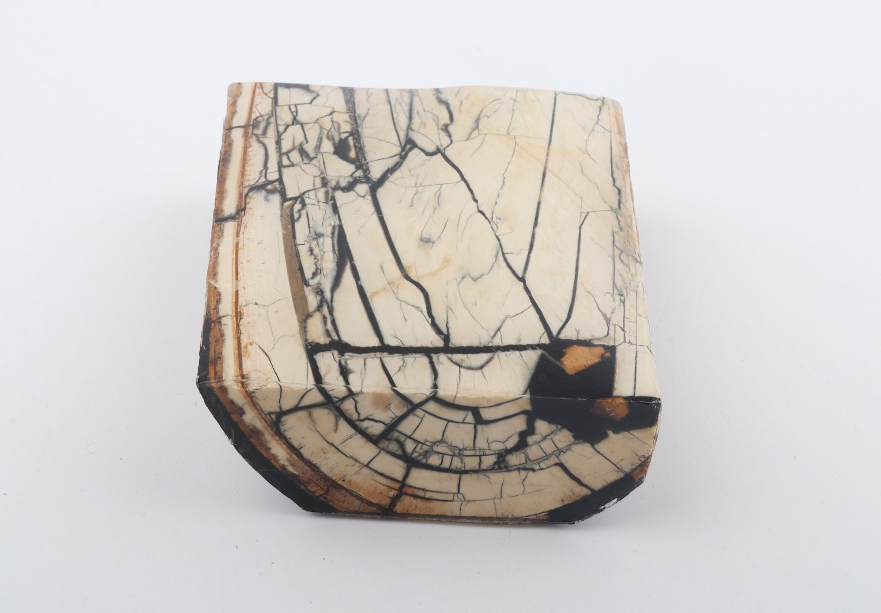 Stabilized mammoth ivory slab