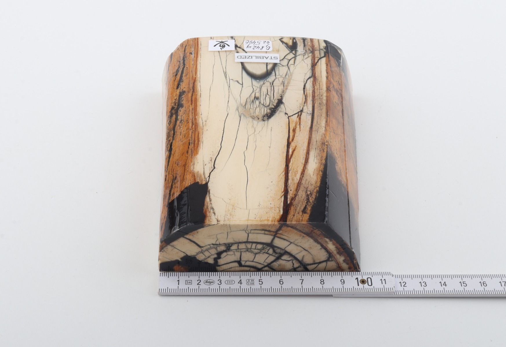 Stabilized mammoth ivory slab