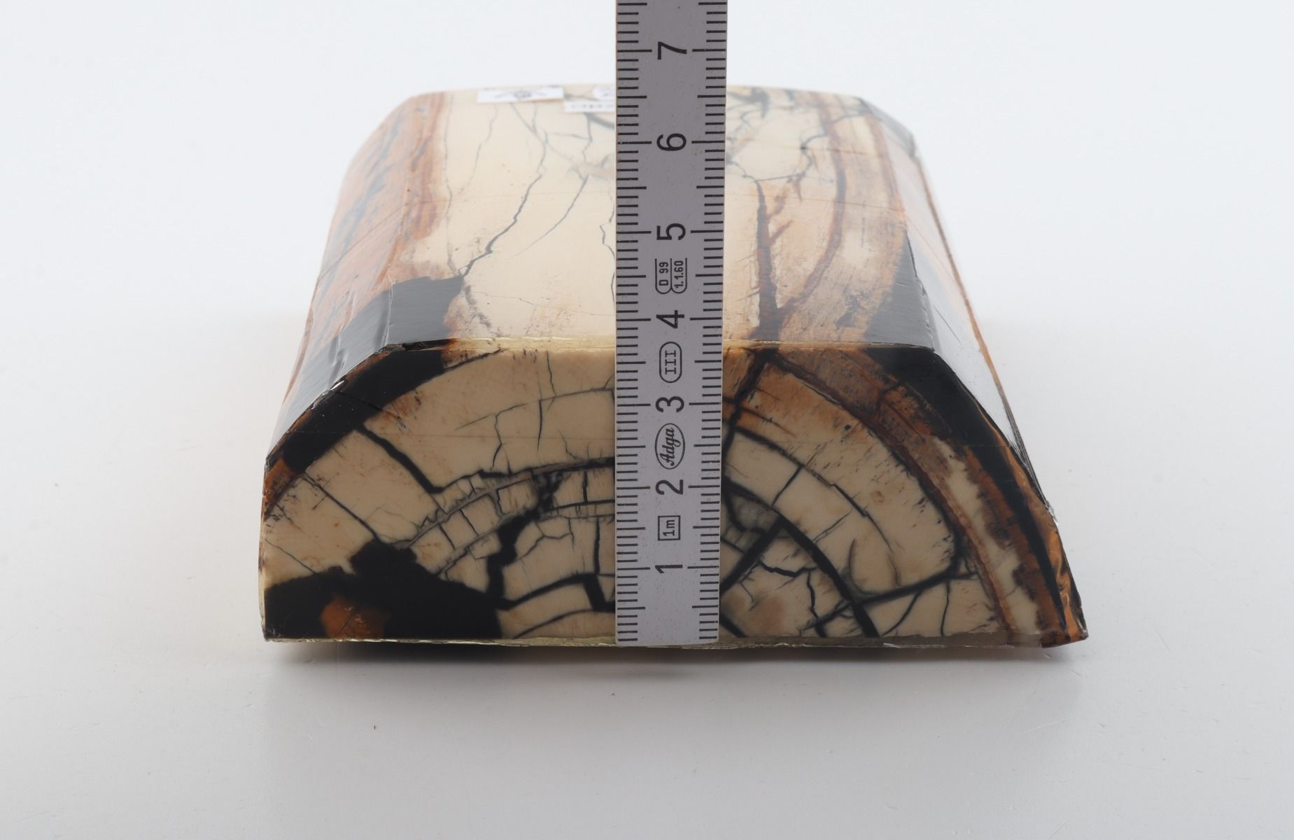 Stabilized mammoth ivory slab