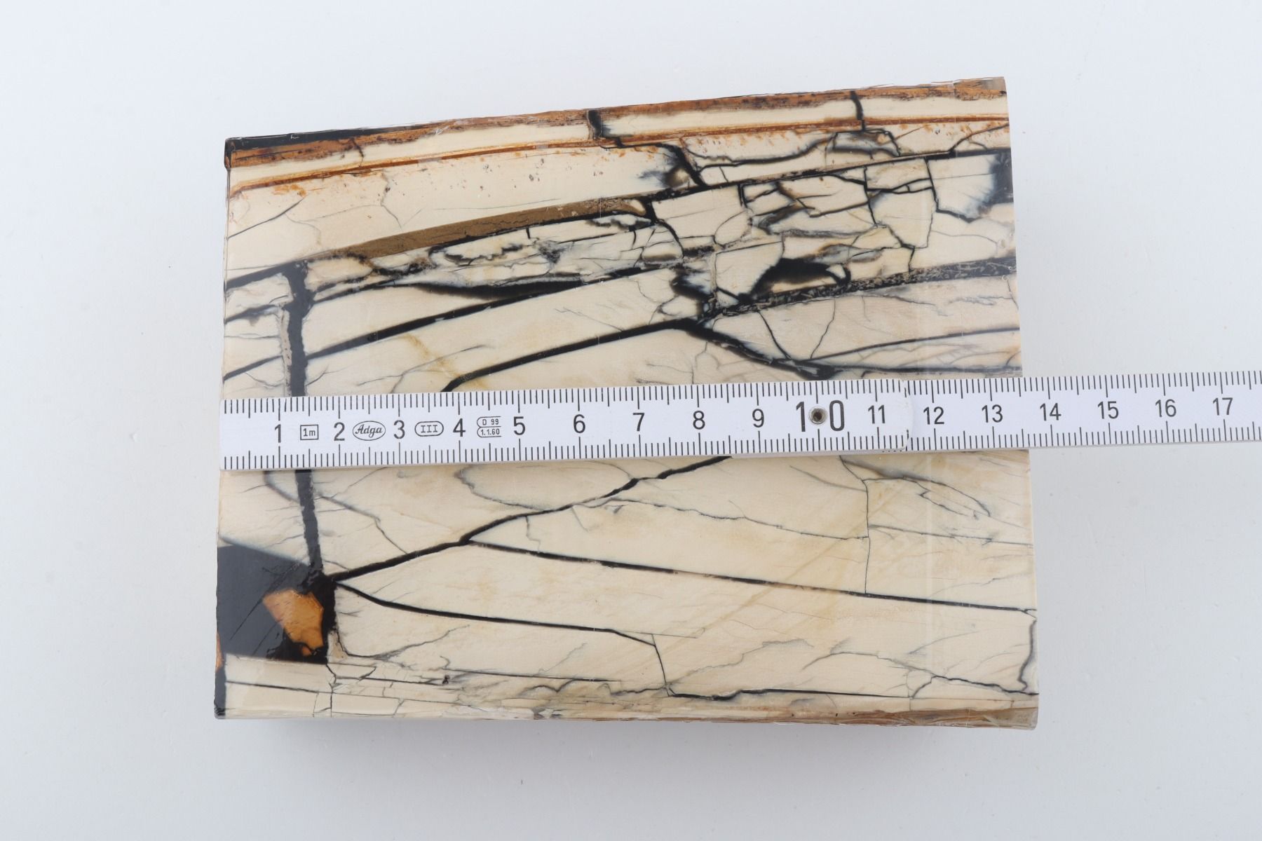 Stabilized mammoth ivory slab