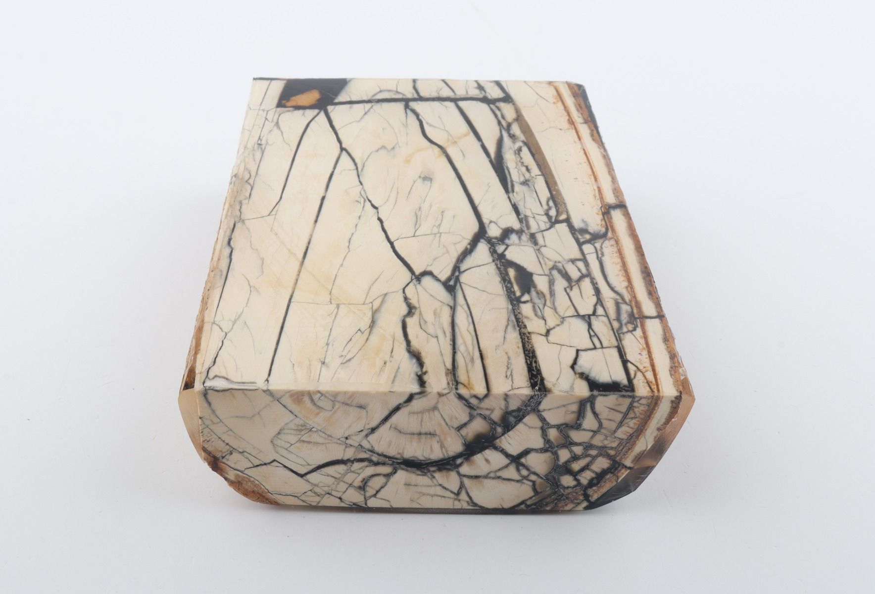 Stabilized mammoth ivory slab